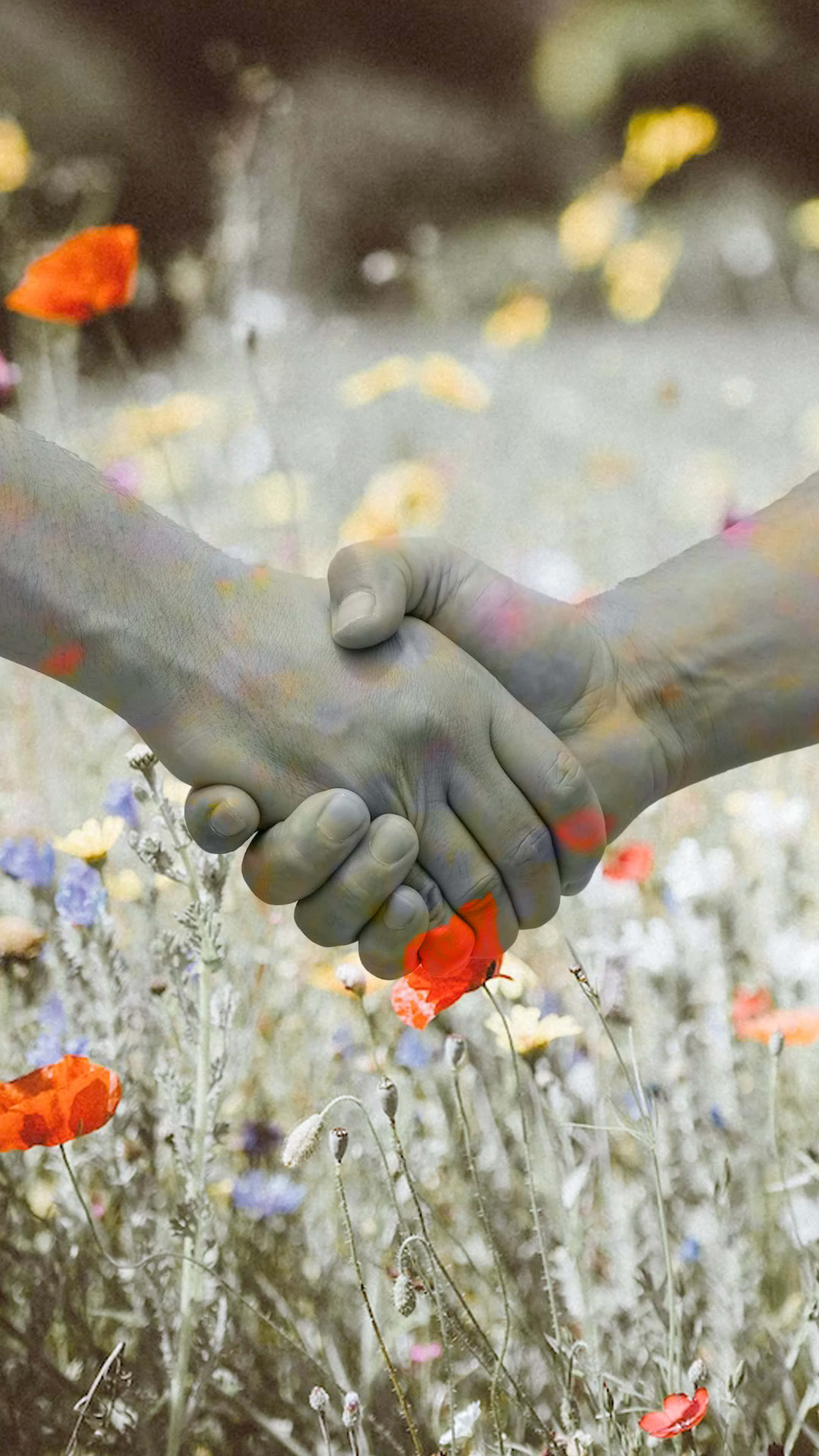 Flowers 桌布 壁紙 — 在柔和自然光下，兩隻手在充滿活力的罌粟花和野花田中緊緊相握。