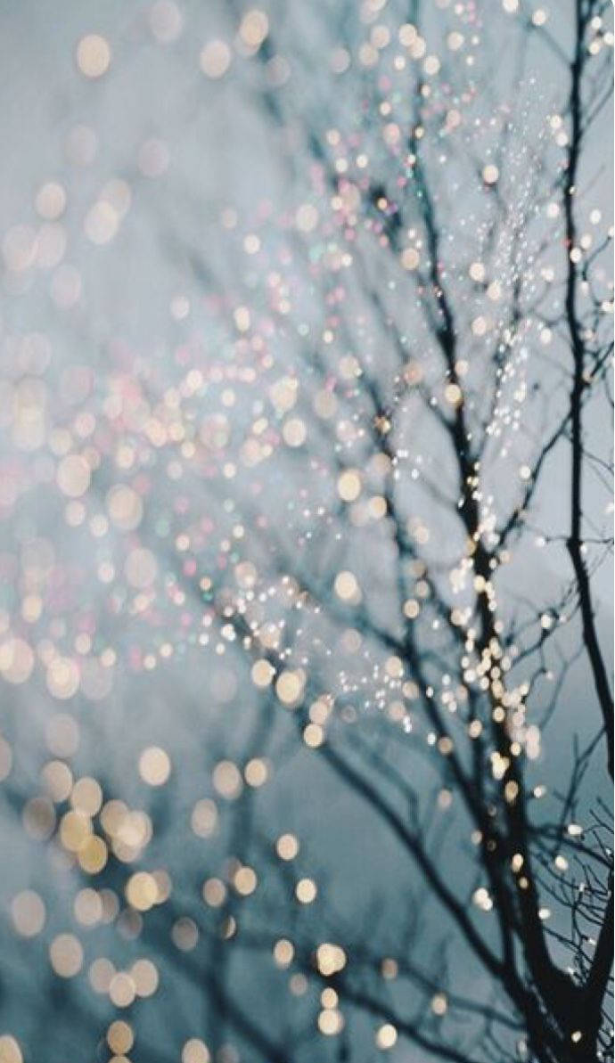 Christmas Lights iPhone 桌布 壁紙 — 在柔和藍天襯托下，樹枝剪影點綴著閃爍的散景燈光，宛如飄落的雪花。