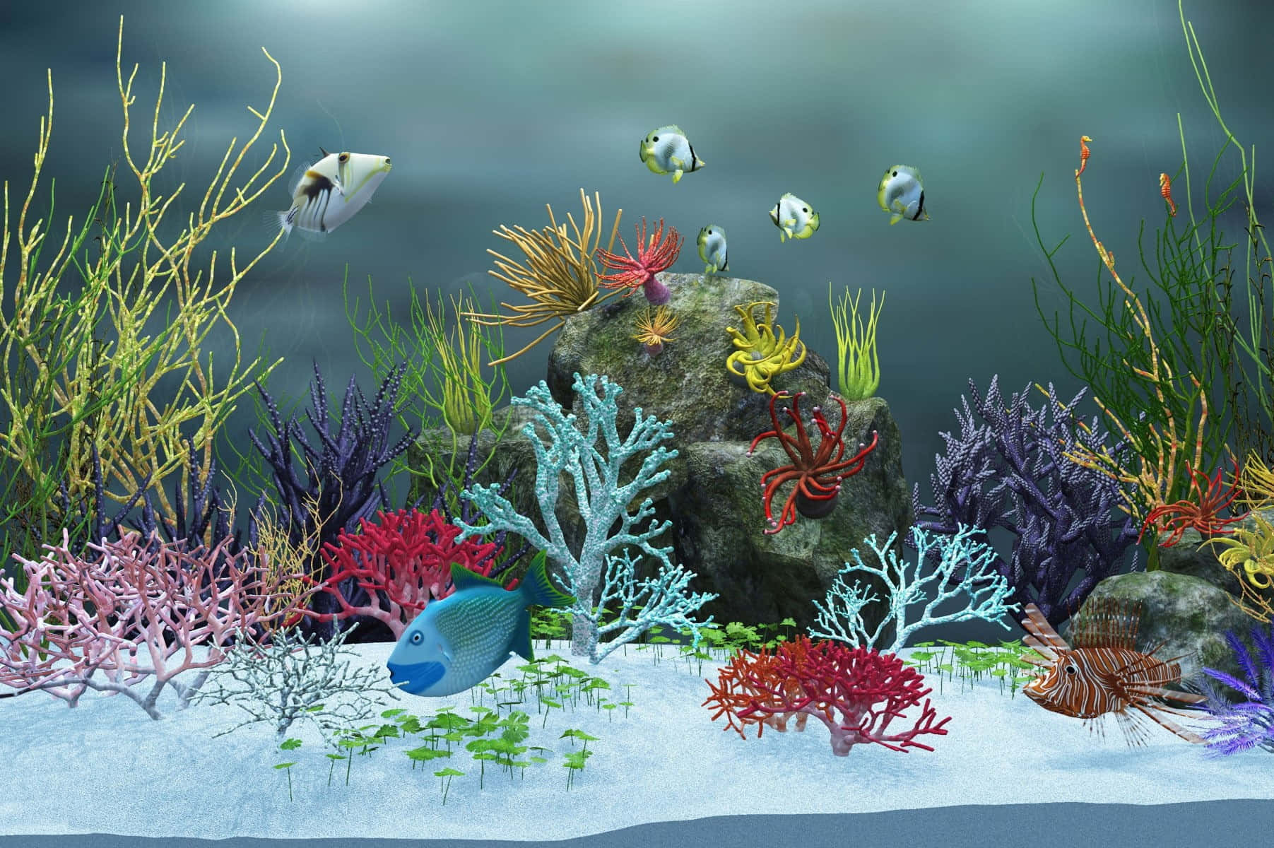 水族箱 桌布 壁紙 — 在柔和藍綠色海水下，充滿活力的珊瑚礁有許多色彩繽紛的魚類和多樣化的海洋生物。