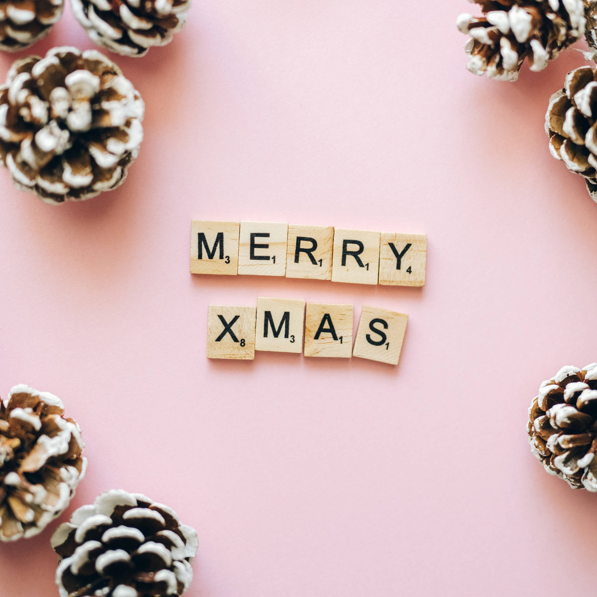 聖誕節 桌布 壁紙 — 在柔軟的粉紅色背景上，用木製 Scrabble 字母磚拼出「Merry Xmas」，周圍環繞著雪松果。