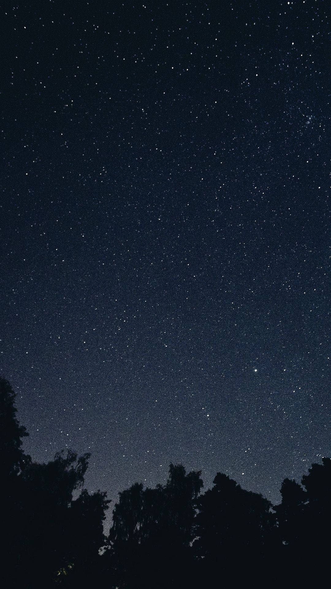夜空 桌布 壁紙 — 在樹頂的黑暗輪廓之上，充滿無數閃爍星星的星空夜空。