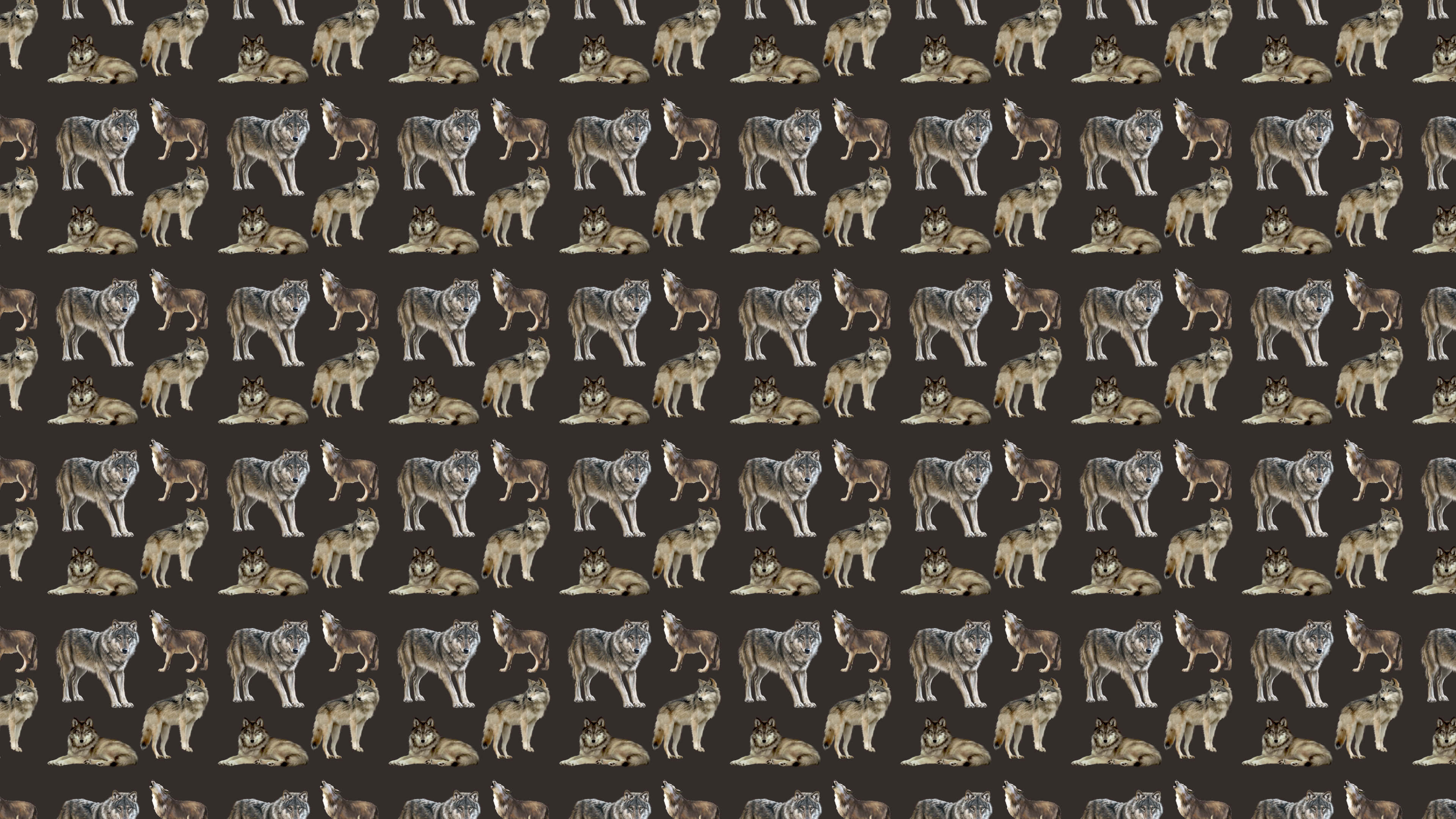 Wolf Pattern 桌布 壁紙 — 在深棕色背景上重複出現各種姿勢的狼圖案。