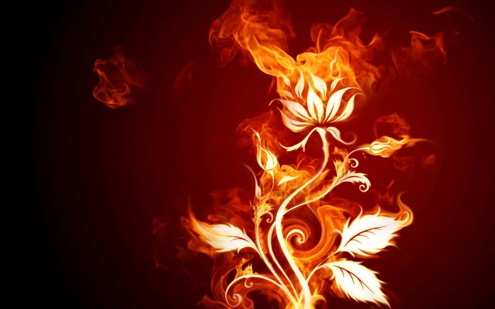 3d Fire 桌布 壁紙 — 在深紅色背景上，一個閃爍的白色花卉圖案從旋轉的火焰中浮現。
