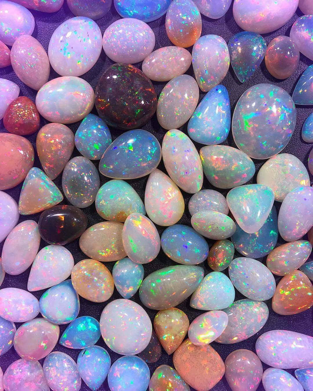 Healing Crystals 桌布 壁紙 — 在深紫色背景下，拋光蛋白石散發出藍色、粉紅色和綠色的虹彩閃光，充滿活力的特寫。