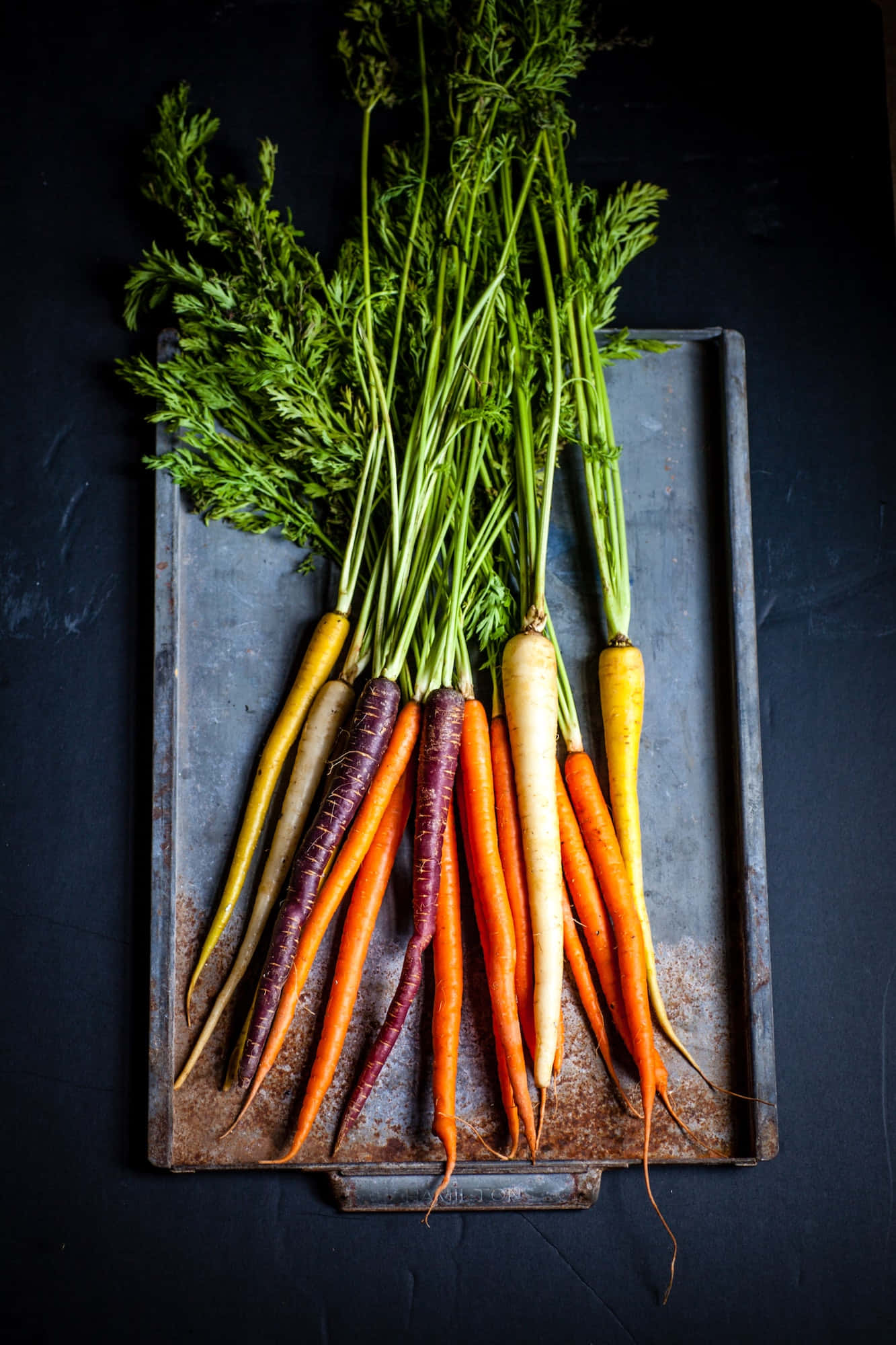 Vegetables 桌布 壁紙 — 在深色背景上，一個質樸的金屬托盤上擺放著色彩繽紛的傳家寶胡蘿蔔，帶有綠色頂部。