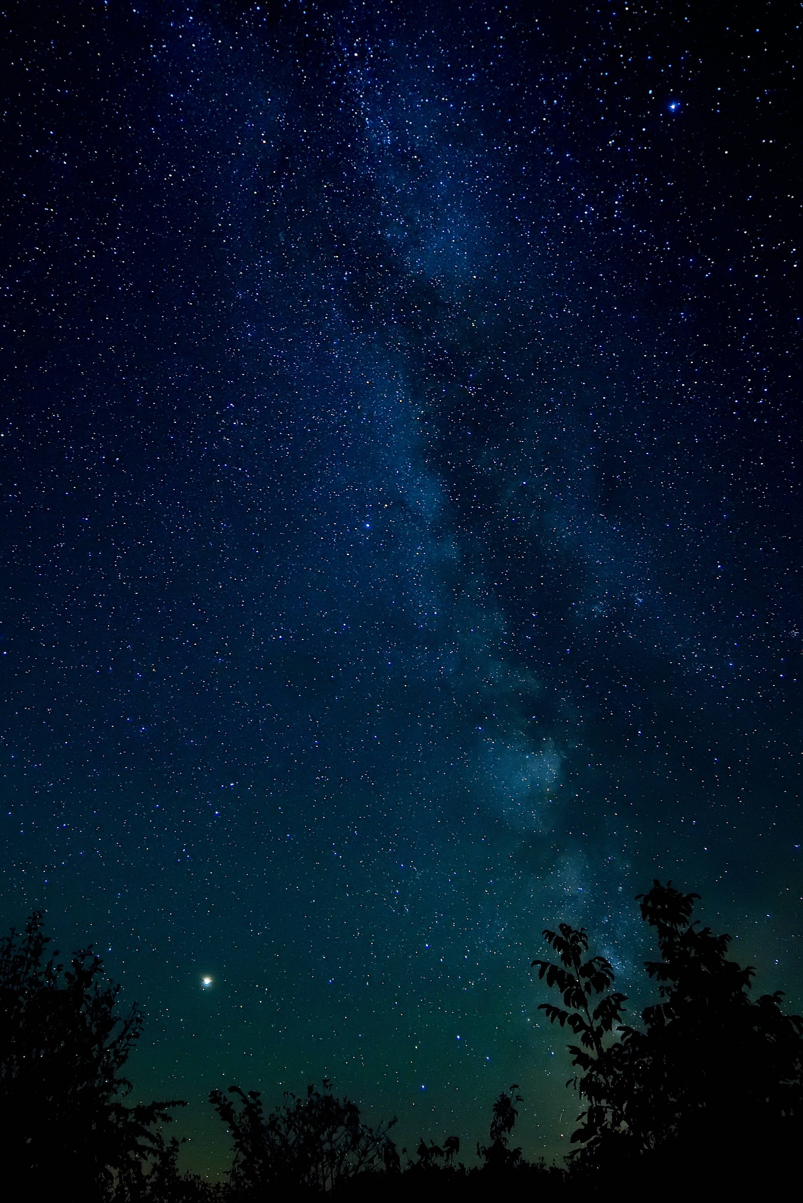 Starry 桌布 壁紙 — 在深藍色夜空下，黑暗樹影之上，銀河系閃耀的壯麗景色。