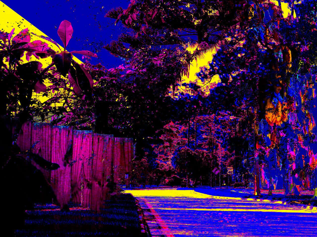 Glitch 桌布 壁紙 — 在深藍色天空下，一條超現實的街道場景沐浴在電紫色和霓虹黃色中，有風格化的樹木和木柵欄。