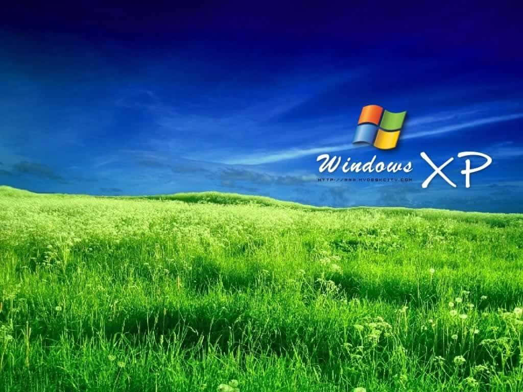 Windows XP 桌布 壁紙 — 在深藍色天空下，充滿活力的綠色草地，Windows XP 標誌漂浮在上方。