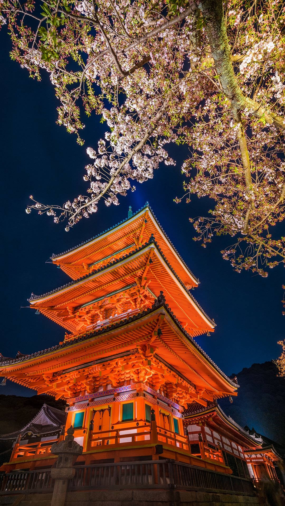 京都 桌布 壁紙 — 在深藍色天空下，盛開的櫻花樹冠下，一座發光的橙色寶塔在夜晚被照亮。