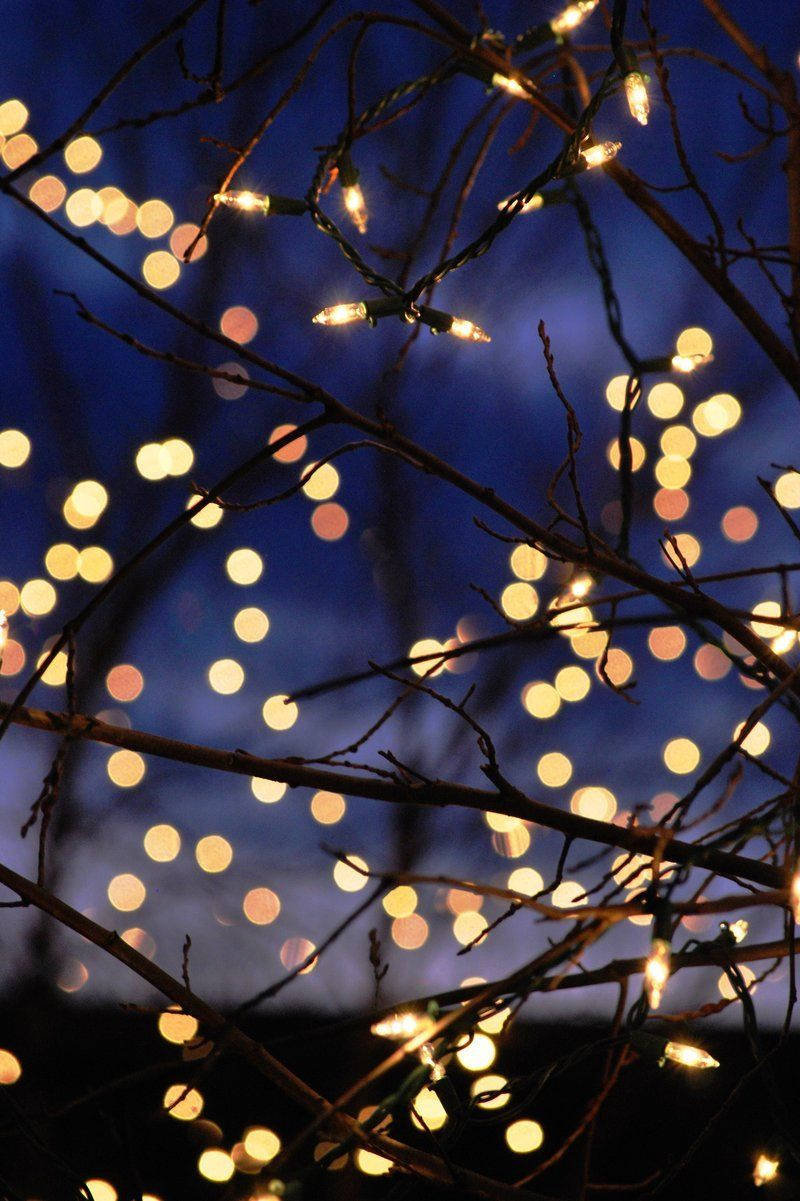 Christmas Lights iPhone 桌布 壁紙 — 在深藍色暮色天空下，閃爍的燈串在黑暗的裸露樹枝上溫暖地發光。