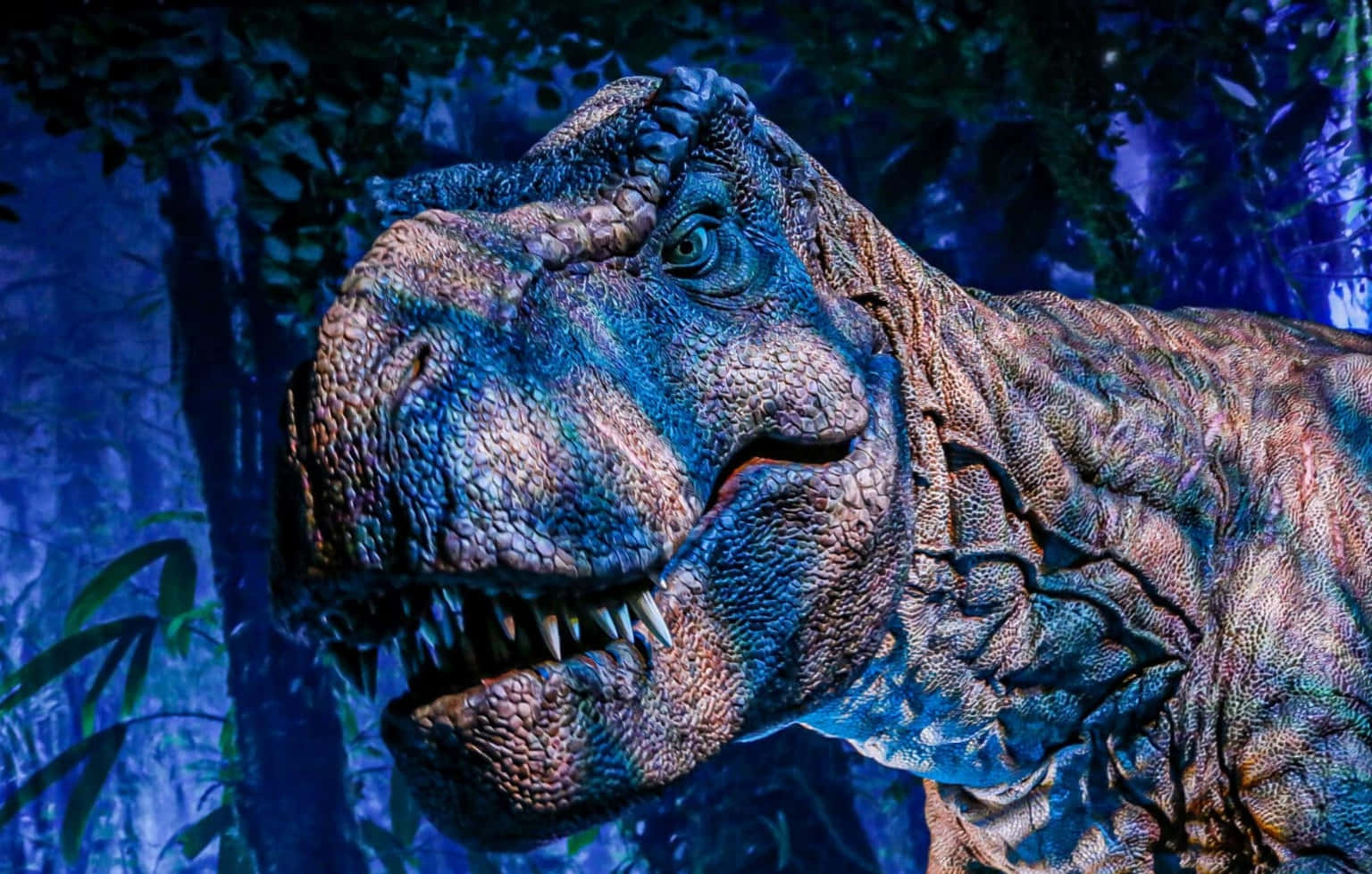 Jurassic World 桌布 壁紙 — 在深藍色森林環境中，一隻逼真的暴龍的特寫，具有紋理皮膚和尖銳牙齒。