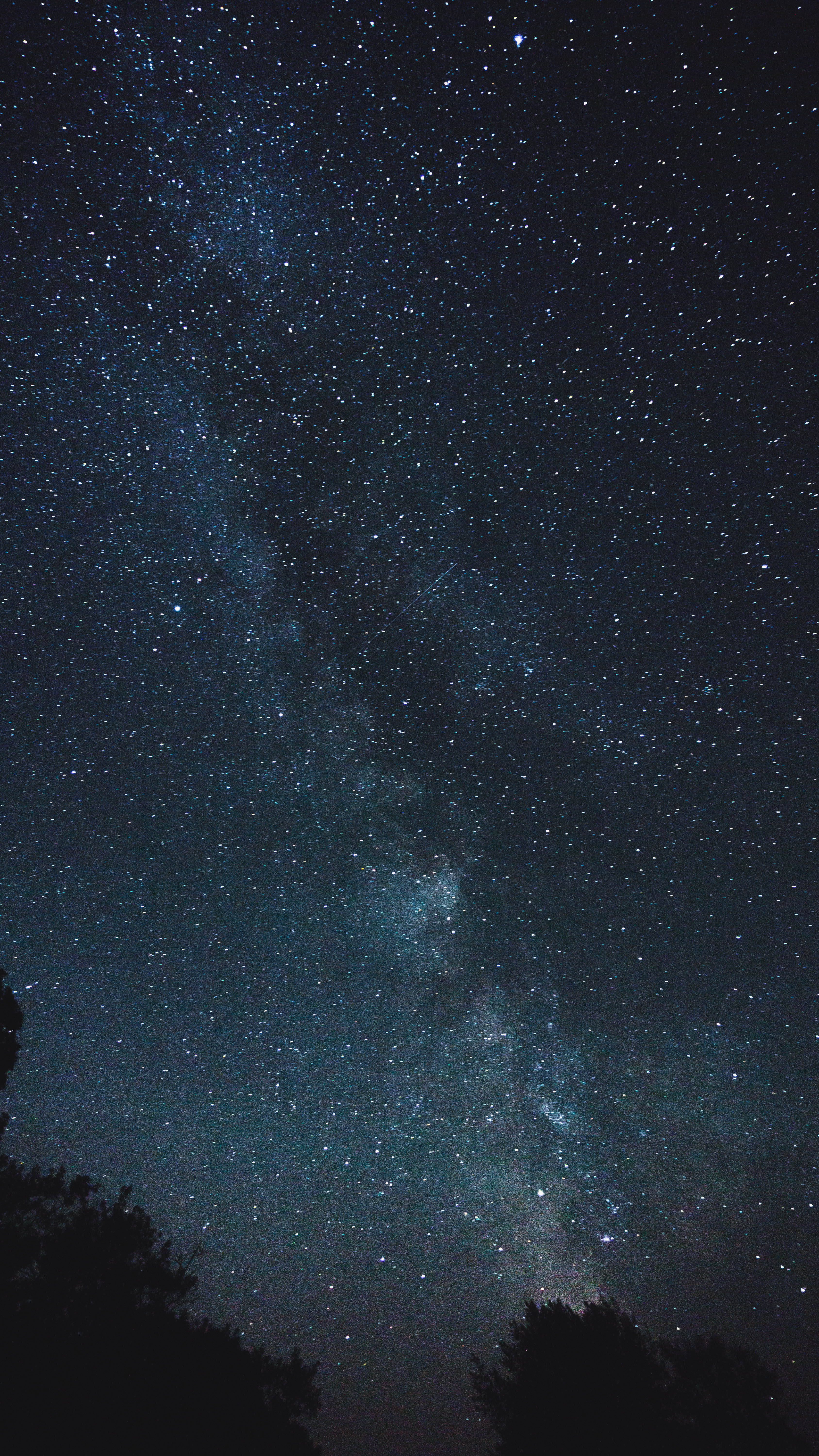 銀河 iPhone 桌布 壁紙 — 在深邃的夜空下，無數星星閃爍的銀河系，在黑暗樹梢的剪影之上，呈現出令人屏息的美景。