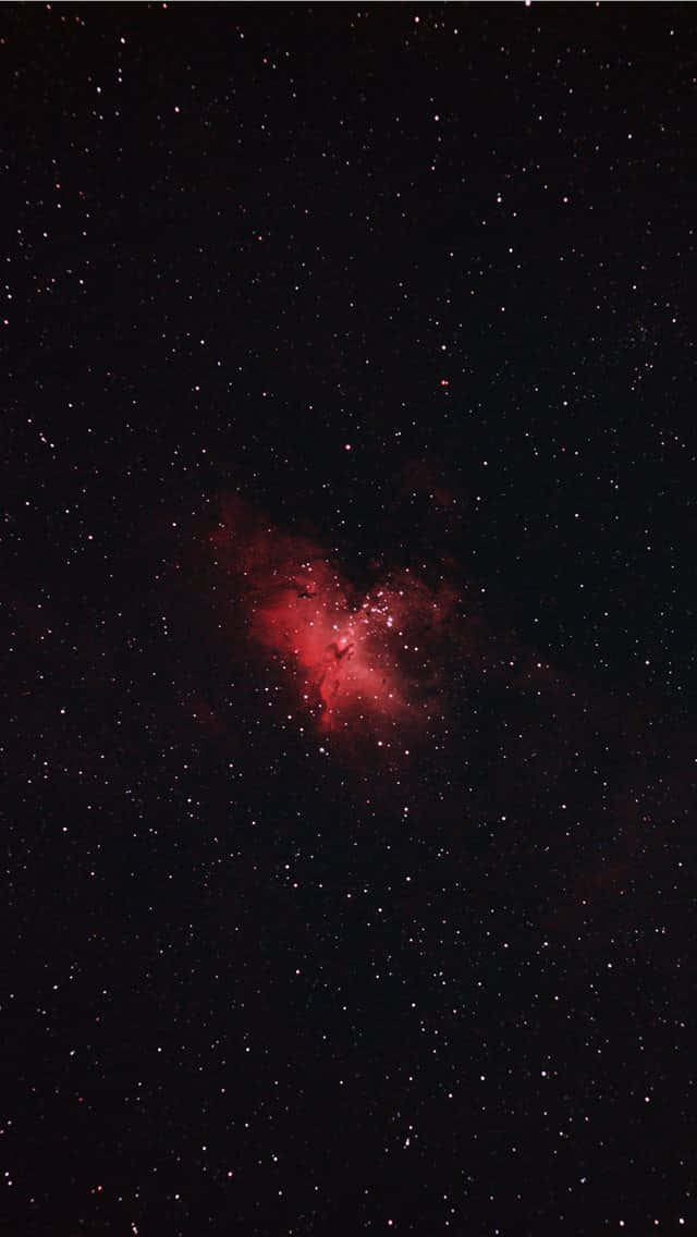 Red Galaxy 桌布 壁紙 — 在深邃的太空黑暗中，一片鮮豔的紅色星雲在密集的星場中發光。