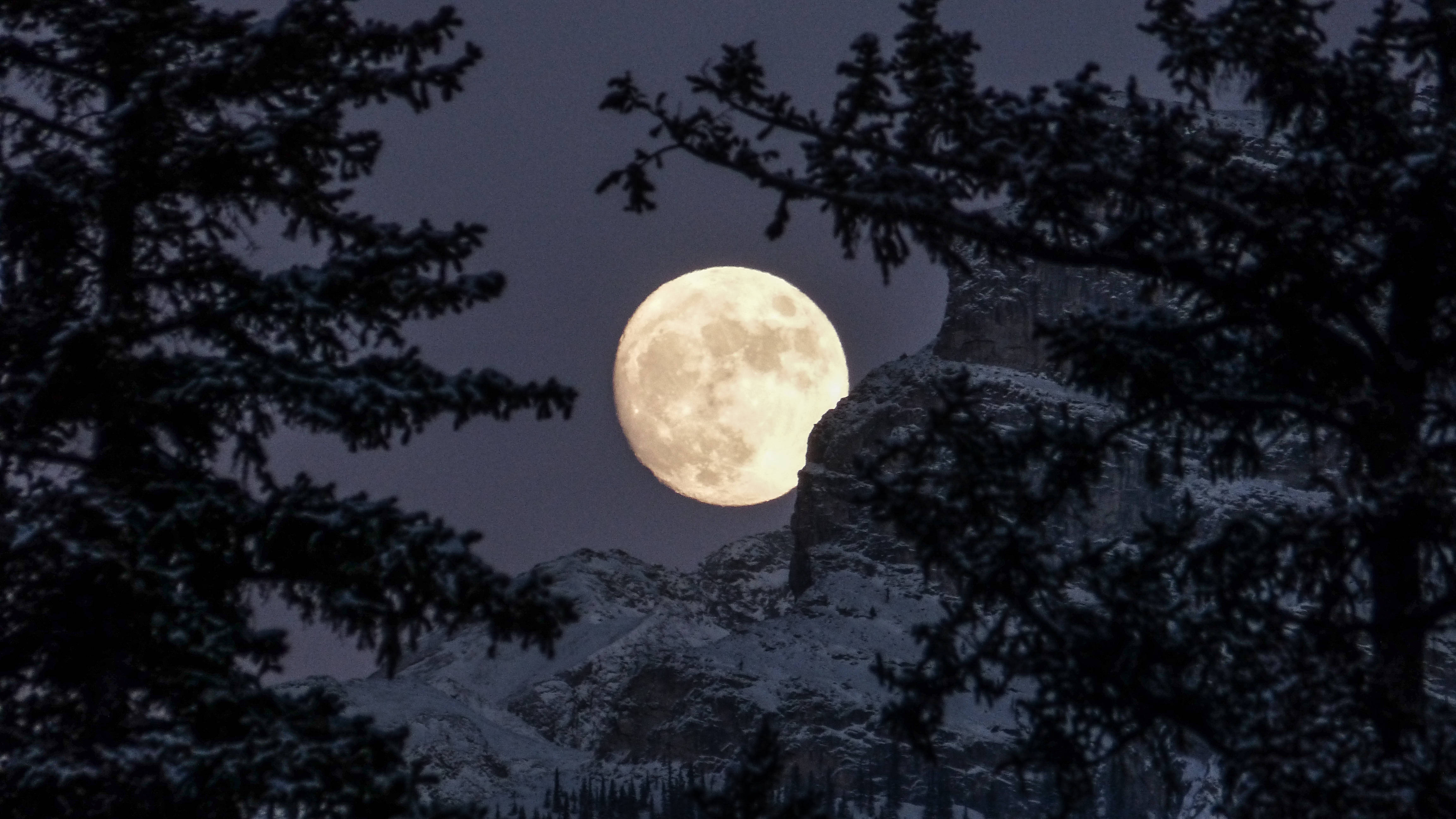 Moonlight 桌布 壁紙 — 在深邃的暮色天空下，一輪明亮的滿月在沾滿雪花的松樹和岩石山峰後發光。