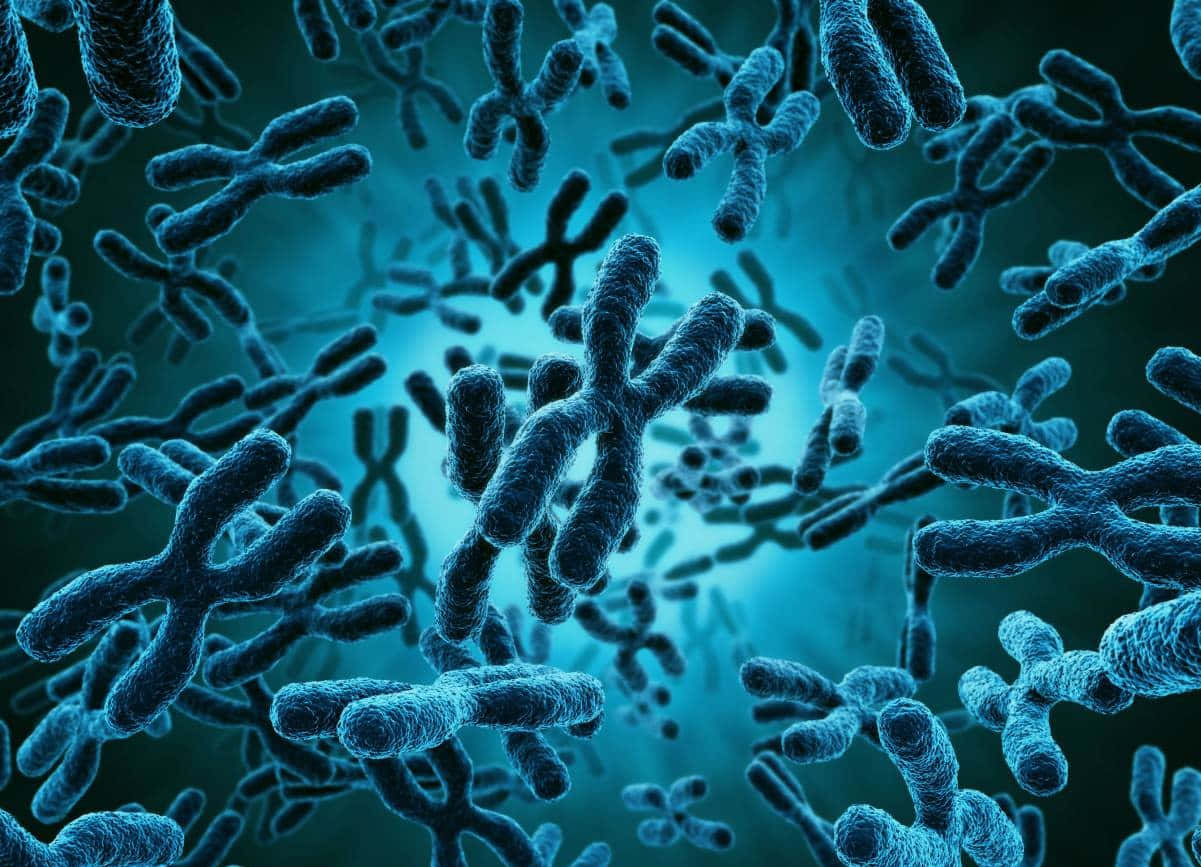 biology 桌布 壁紙 — 在深青色背景上漂浮的眾多染色體結構的發光藍色3D渲染。