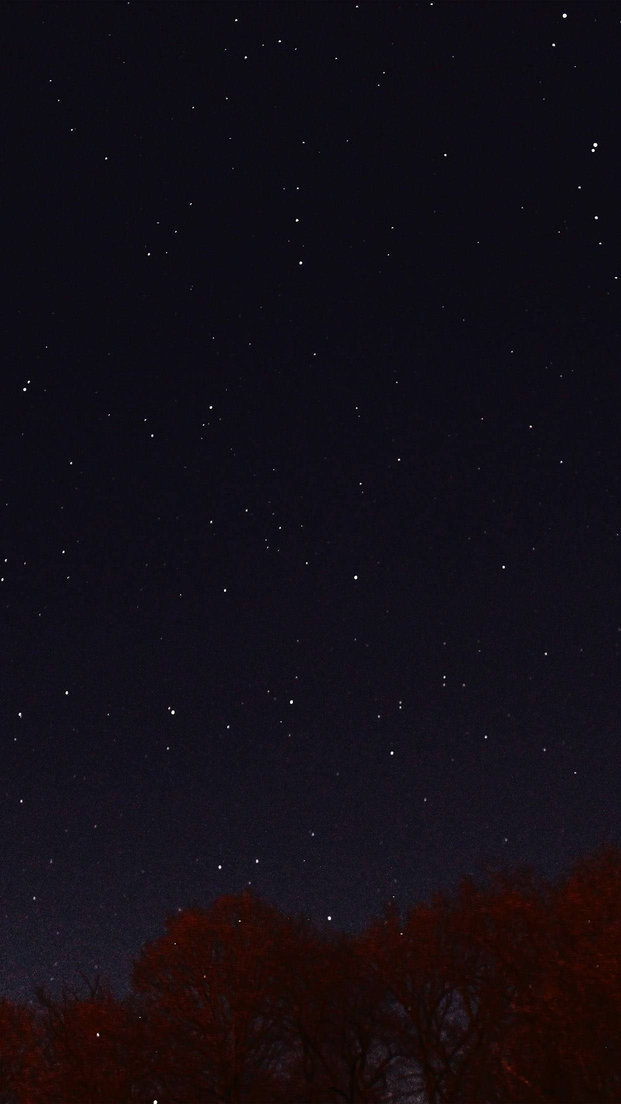 夜空 桌布 壁紙 — 在深靛藍色的廣闊天空下，剪影樹木上方有深紅色樹葉的星空夜空。