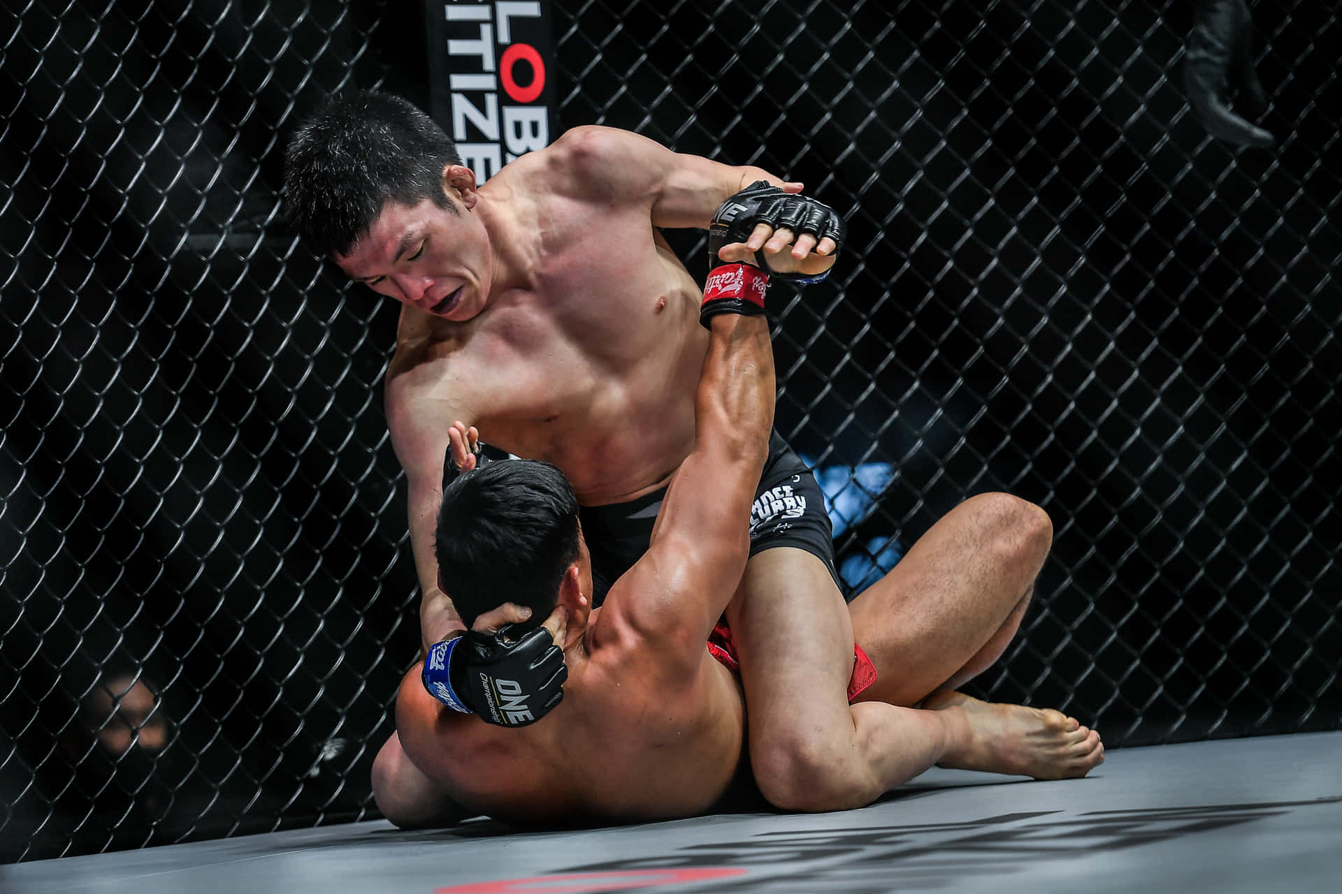martial arts 桌布 壁紙 — 在混合武術比賽中，兩名拳手在黑色鐵籠內的軟墊上激烈纏鬥。