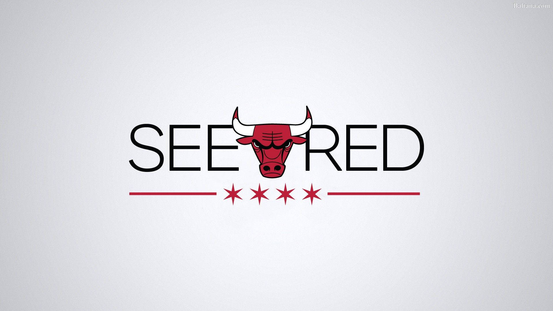 Chicago Bulls 桌布 壁紙 — 在淺灰色背景上，一個大膽的紅色公牛標誌居中於 SEE 和 RED 兩個詞之間，下方有四顆星。
