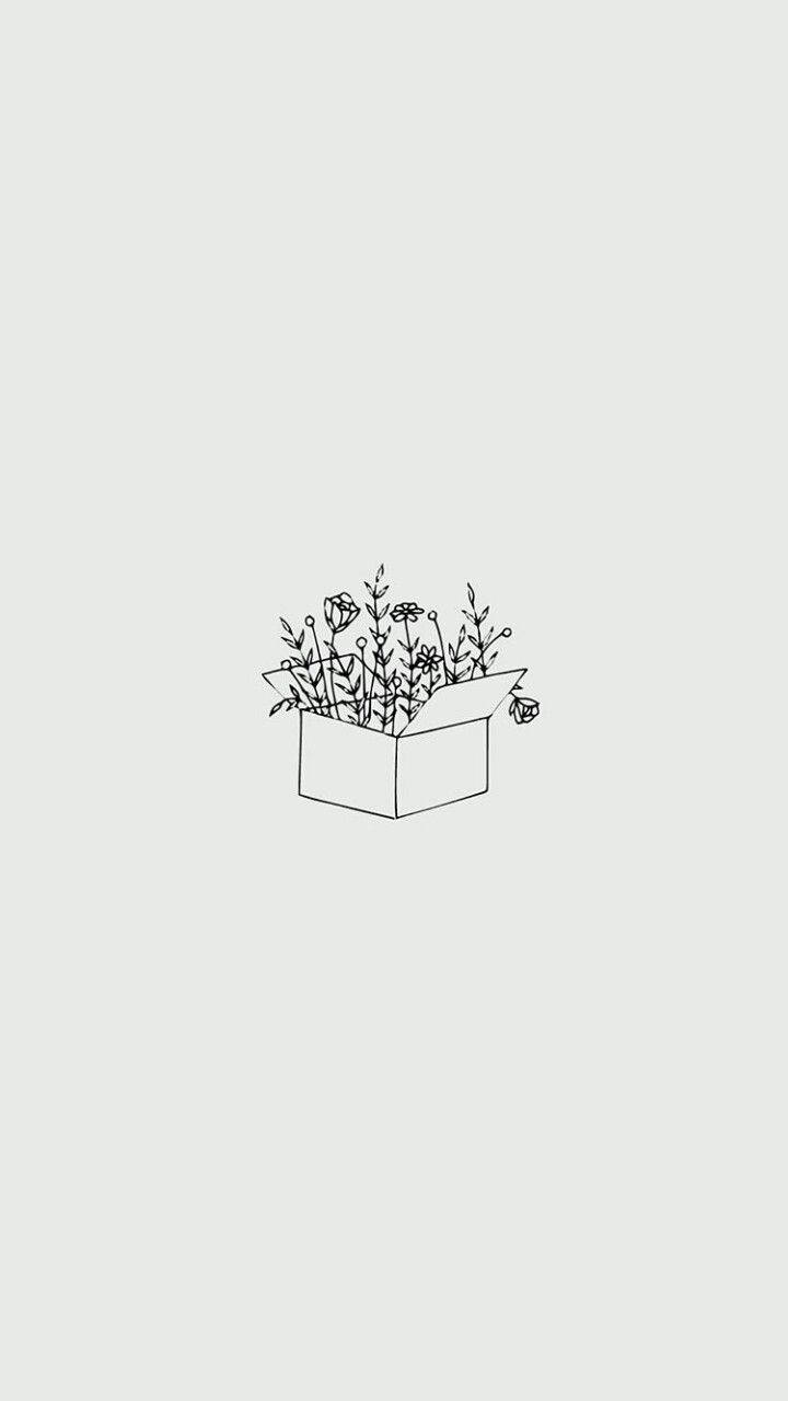 極簡美學 桌布 壁紙 — 在淺灰色背景上，從打開的紙板箱中迸發出的野花極簡線條畫。
