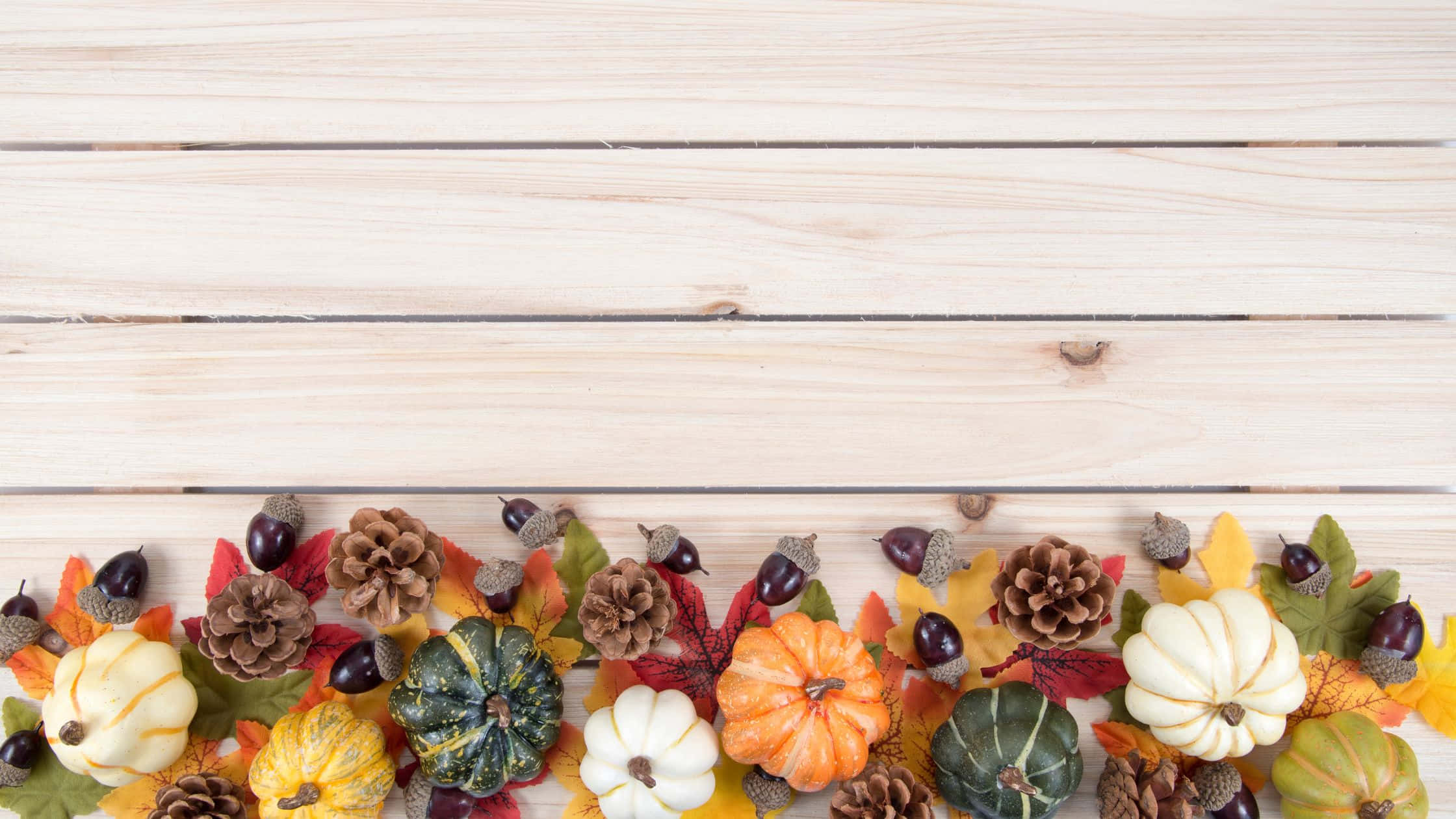 Thanksgiving Desktop 桌布 壁紙 — 在淺色木板上排列的南瓜、松果和樹葉的節日秋季邊框。