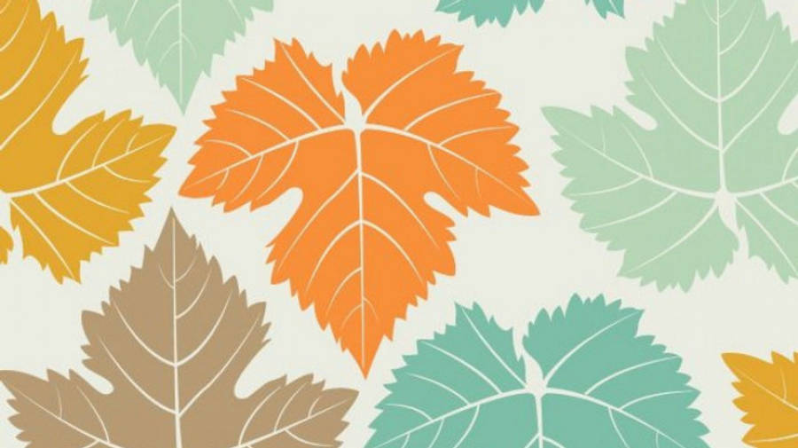 Leaves 桌布 壁紙 — 在淺色背景上，充滿活力的風格化秋葉，呈現橙色、黃色、棕色和藍綠色。