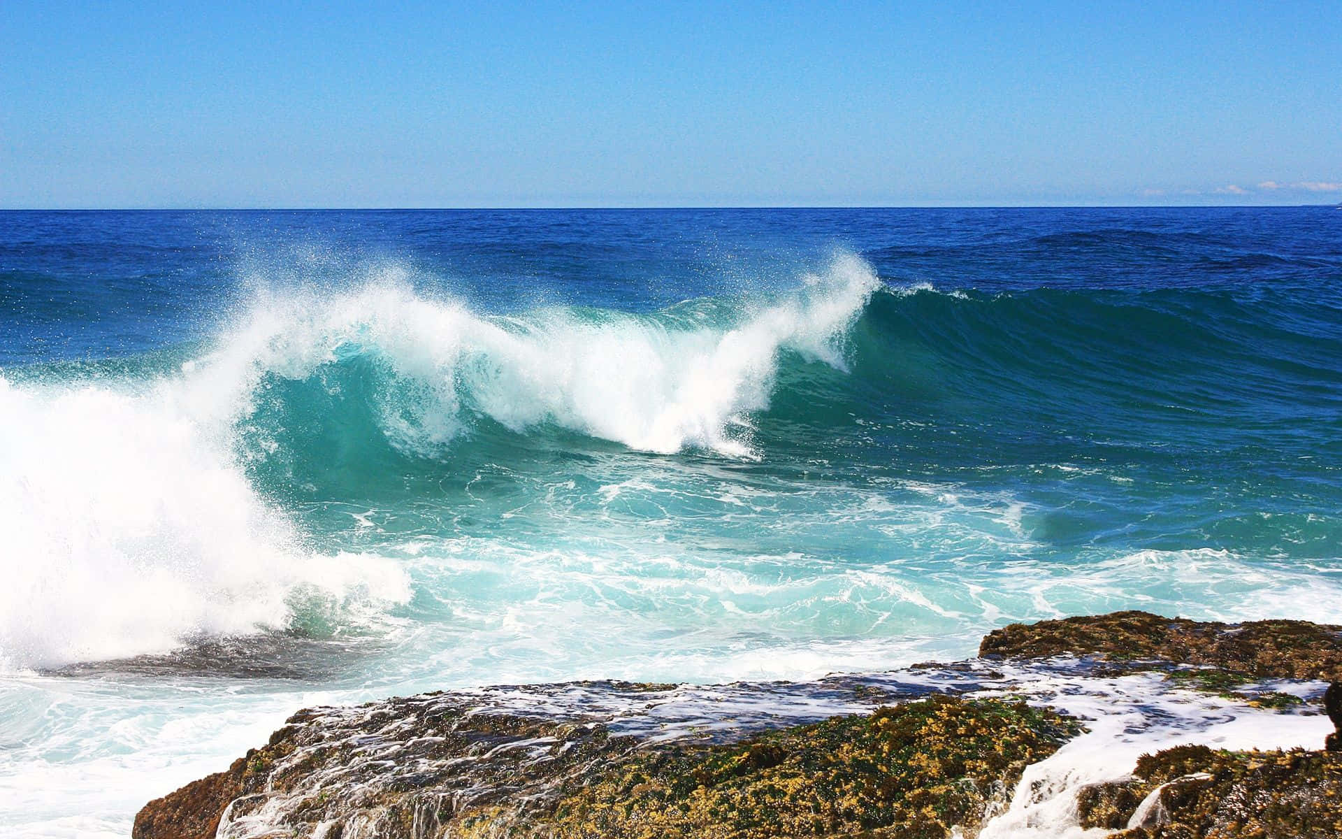 Ocean Waves 桌布 壁紙 — 在清澈的藍天下，一道強勁的藍綠色海浪拍打著崎嶇的海岸岩石。