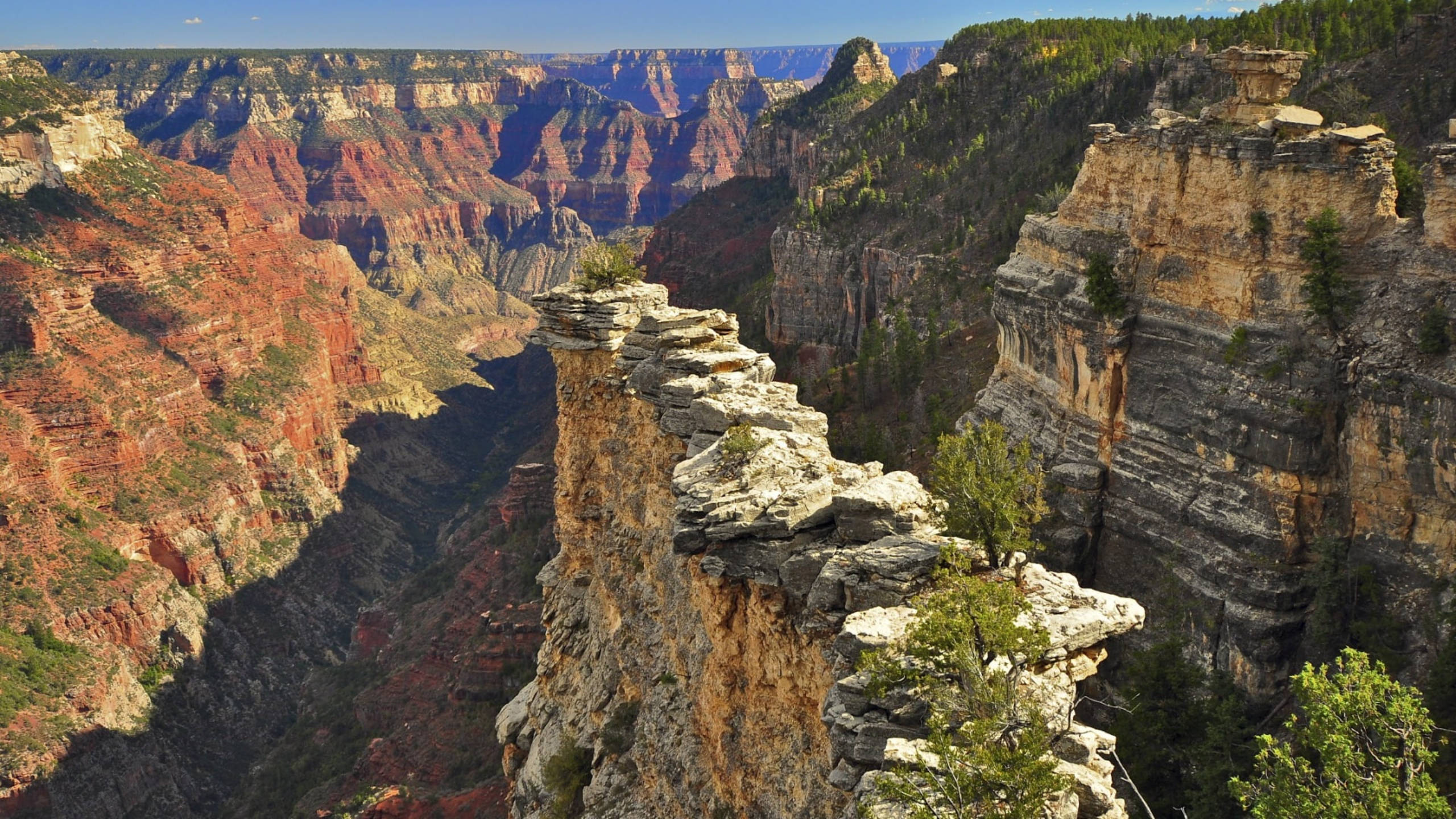 Canyon 桌布 壁紙 — 在清澈的藍天下，大峽谷層疊的紅色岩石懸崖和深邃峽谷的壯麗景色。