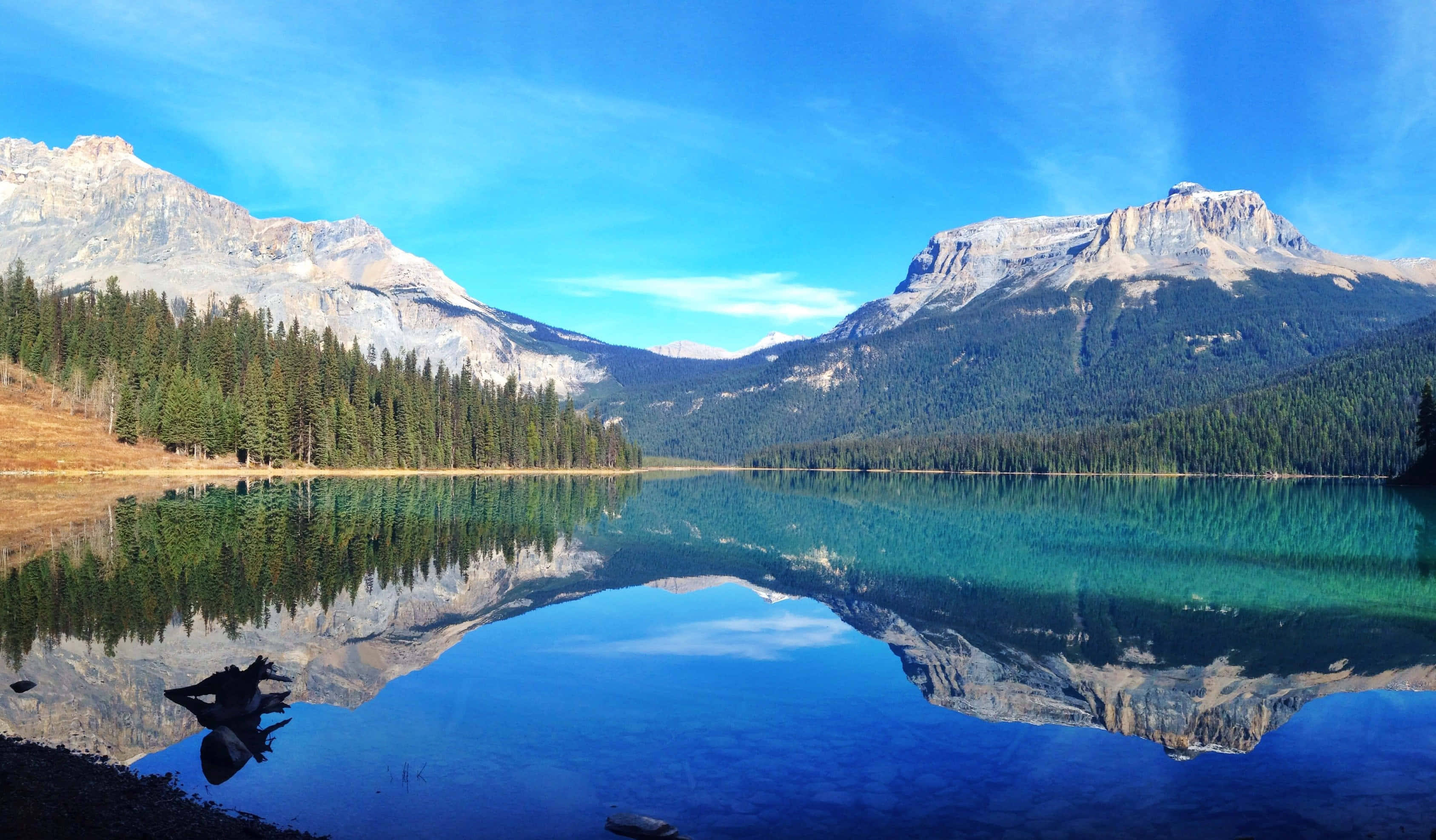 Beautiful Mountain Lake 桌布 壁紙 — 在清澈的藍天下，寧靜的高山湖泊映照著高聳的雪山和茂密的常綠森林。