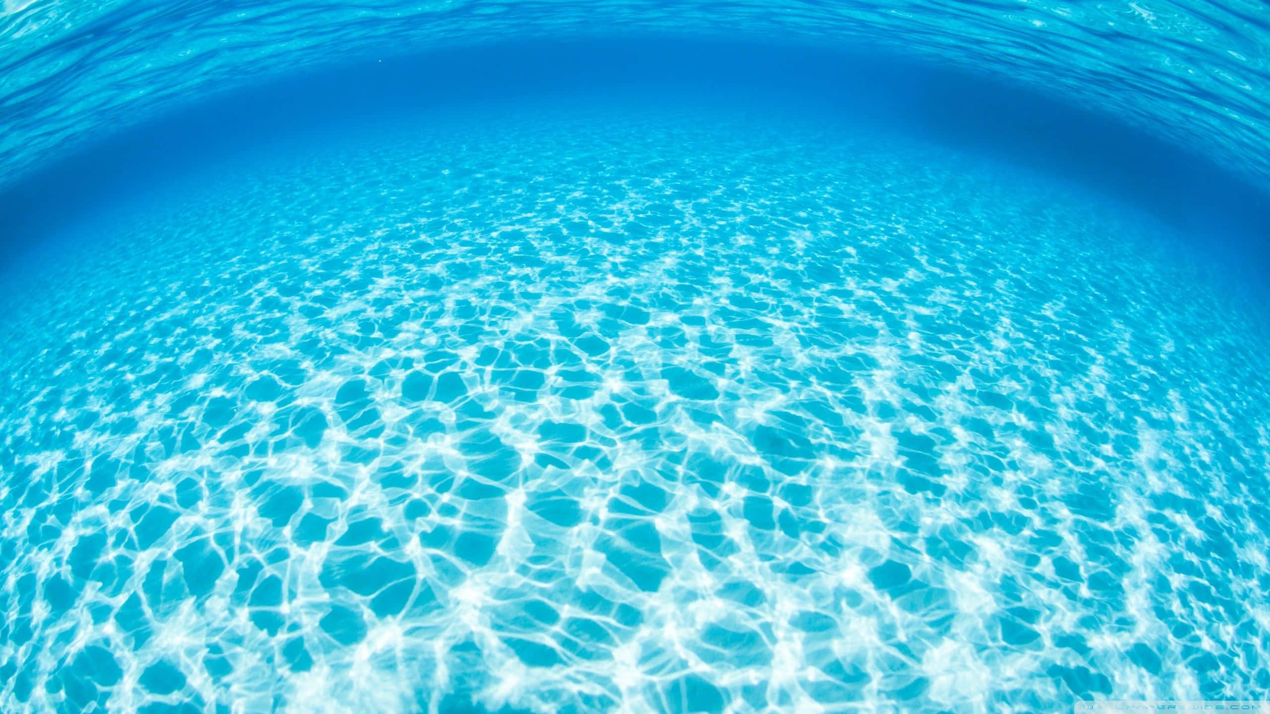 Underwater Ocean 桌布 壁紙 — 在清澈碧綠的水面下，陽光以閃爍的圖案在沙質海底上舞動。