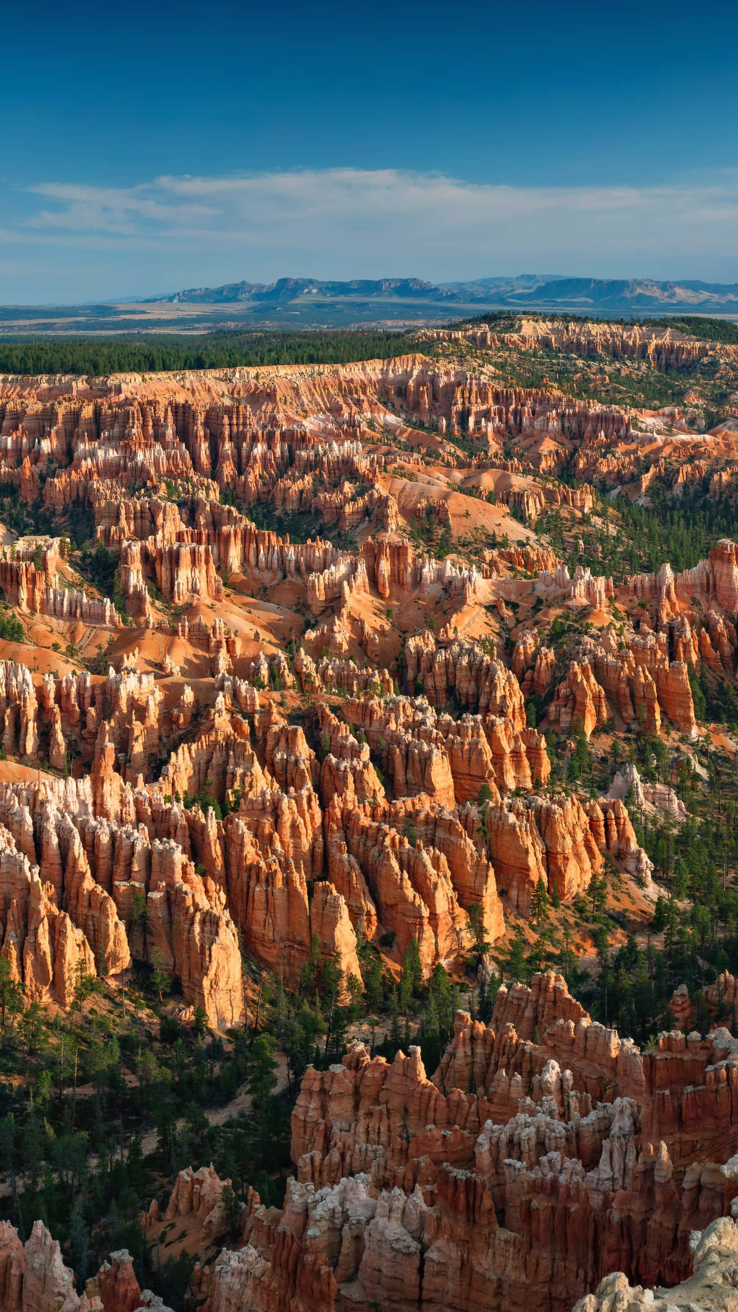 National Parks 桌布 壁紙 — 在清澈藍天下，金色陽光沐浴著布萊斯峽谷橙色岩柱的壯麗鳥瞰圖。