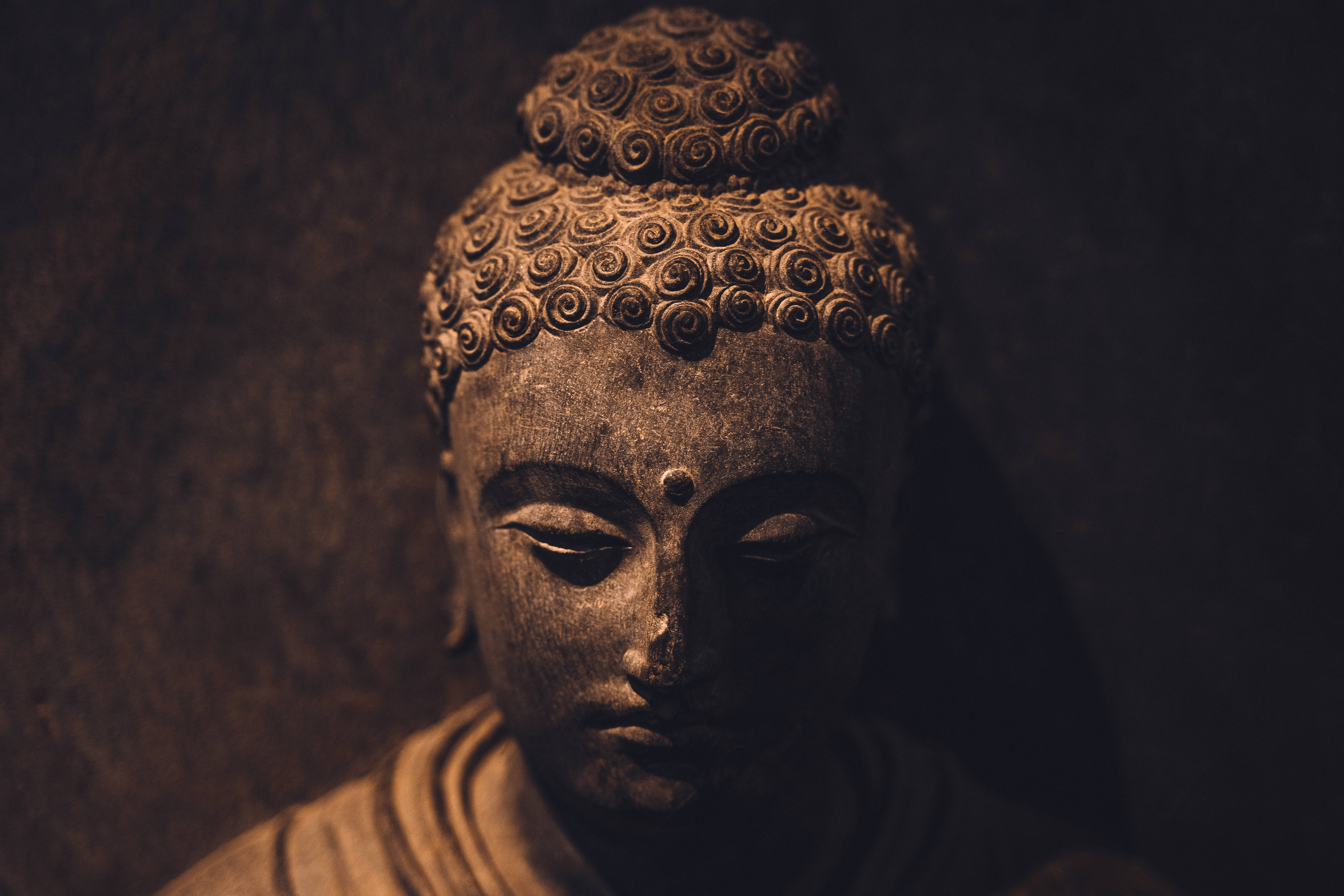 Gautam Buddha 桌布 壁紙 — 在溫暖昏暗的燈光下，一尊閉著眼睛、帶有螺旋捲髮的寧靜佛像特寫。