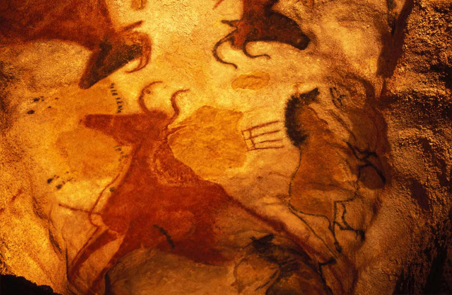 Lascaux Caves 桌布 壁紙 — 在溫暖的人造光下，用赭石和黑色輪廓繪有野牛和馬匹的古老洞穴牆壁。