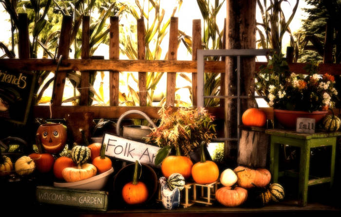 Fall 桌布 壁紙 — 在溫暖的金色光線下，木凳上擺放著南瓜、葫蘆和玉米稈的鄉村秋季豐收展示。