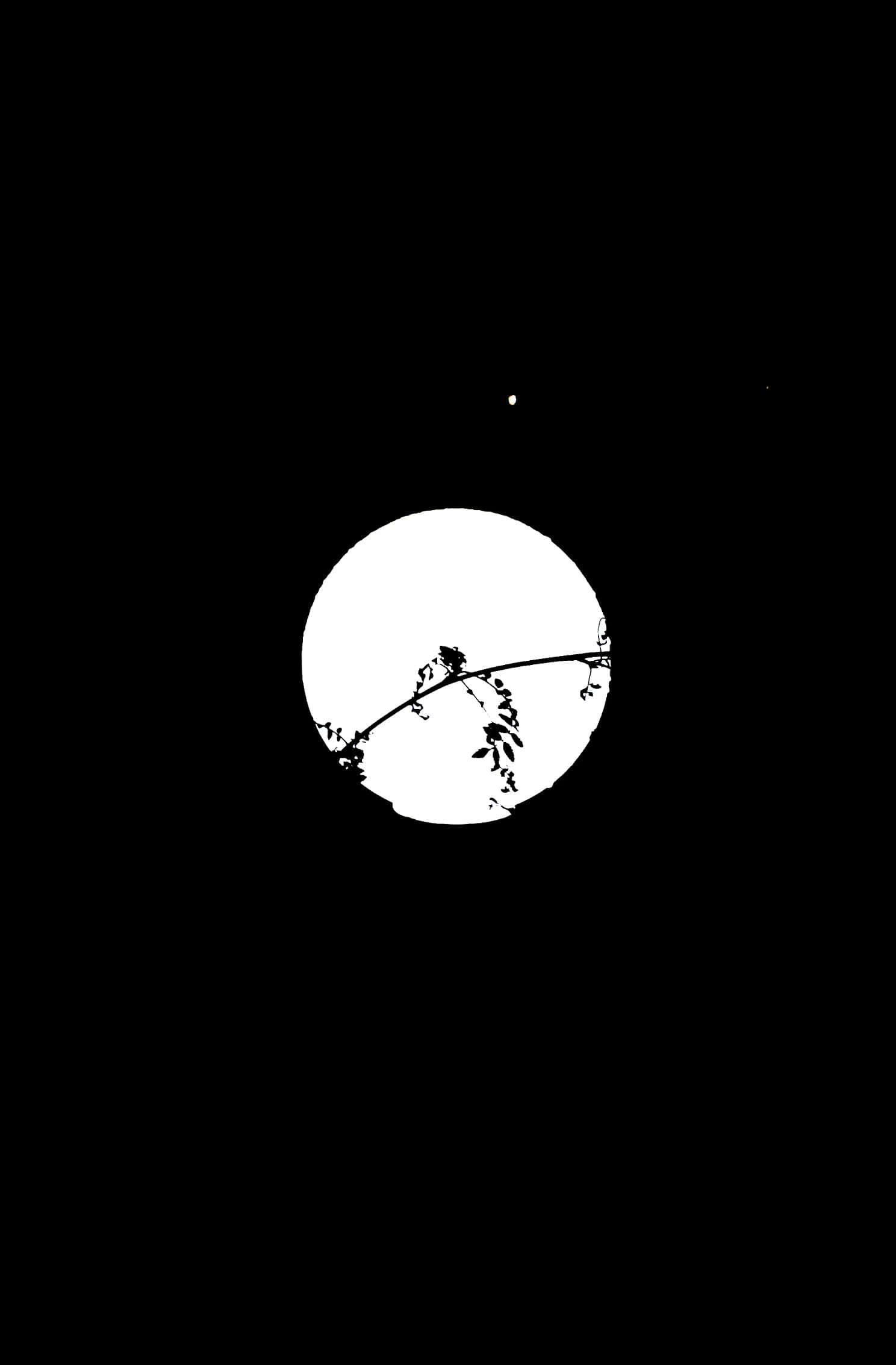 1488x2266 桌布 壁紙 — 在漆黑的夜空襯托下，一條帶葉的樹枝彎曲地橫跨滿月的鮮明黑白剪影。