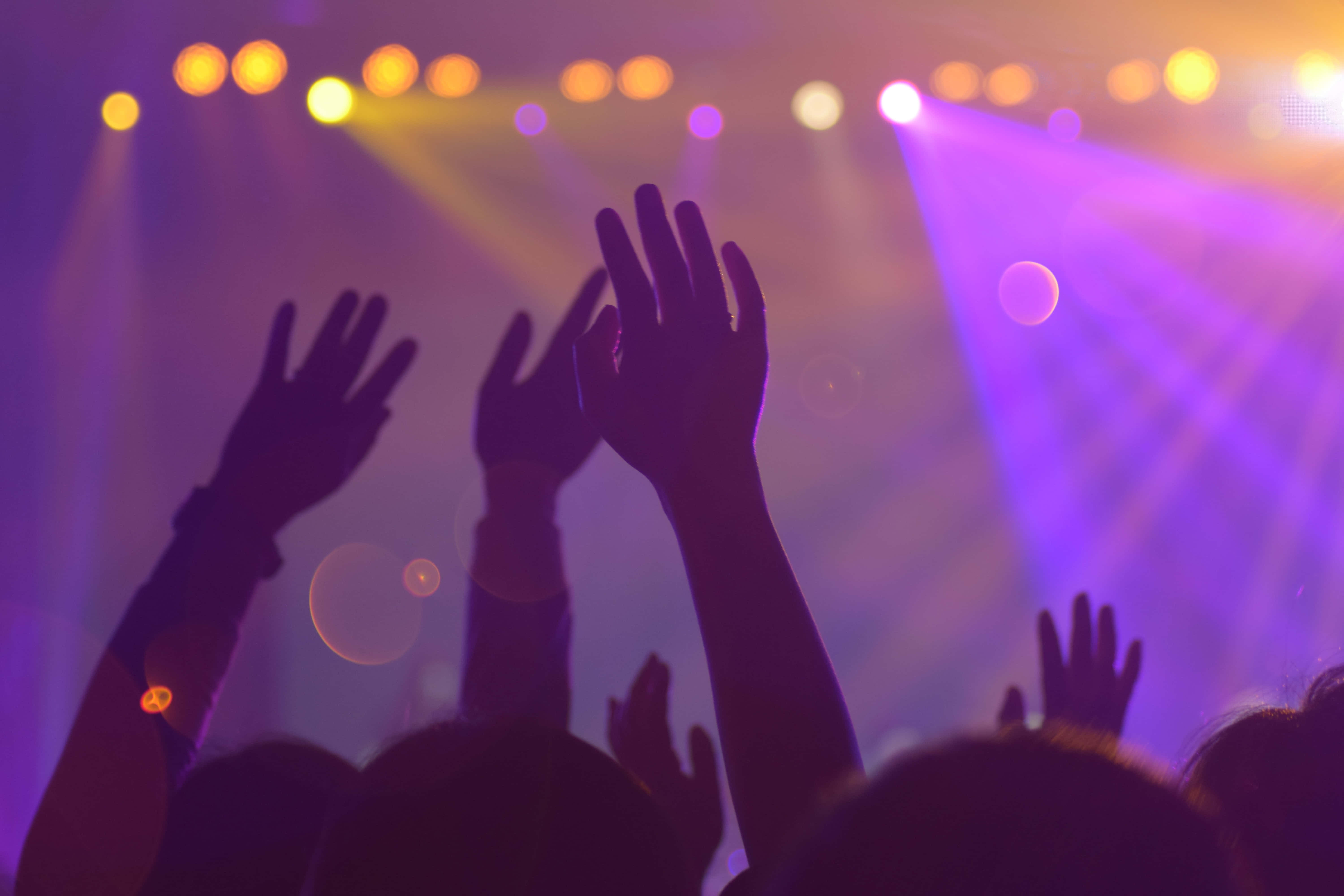 music festival 桌布 壁紙 — 在演唱會中，剪影人群的手在充滿活力的紫色和黃色舞台燈光下向上伸展。
