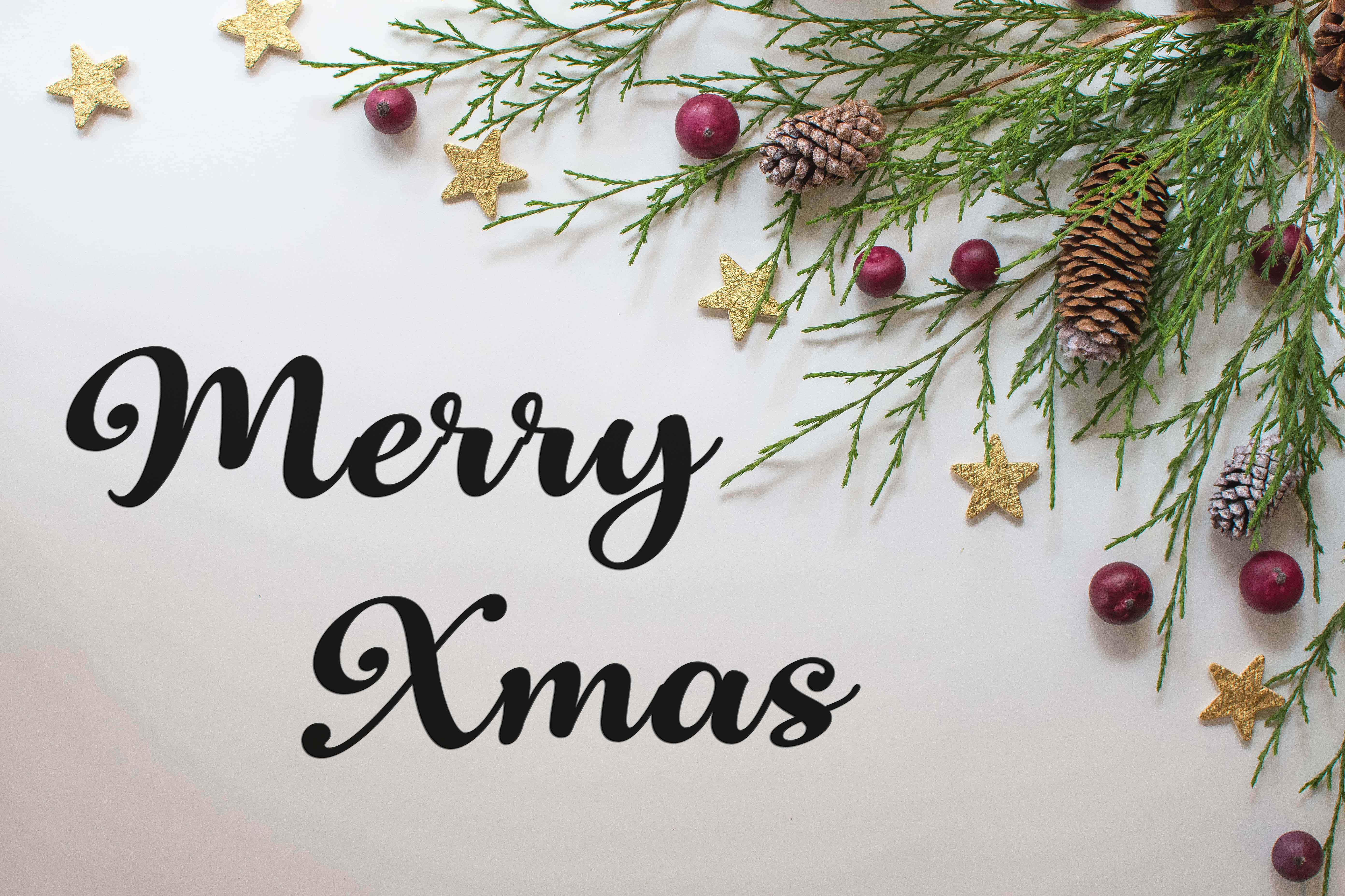 Festive 桌布 壁紙 — 在潔白表面上，優雅黑色手寫字體的Merry Xmas文字，被節日綠植、金色星星和紅色漿果環繞。