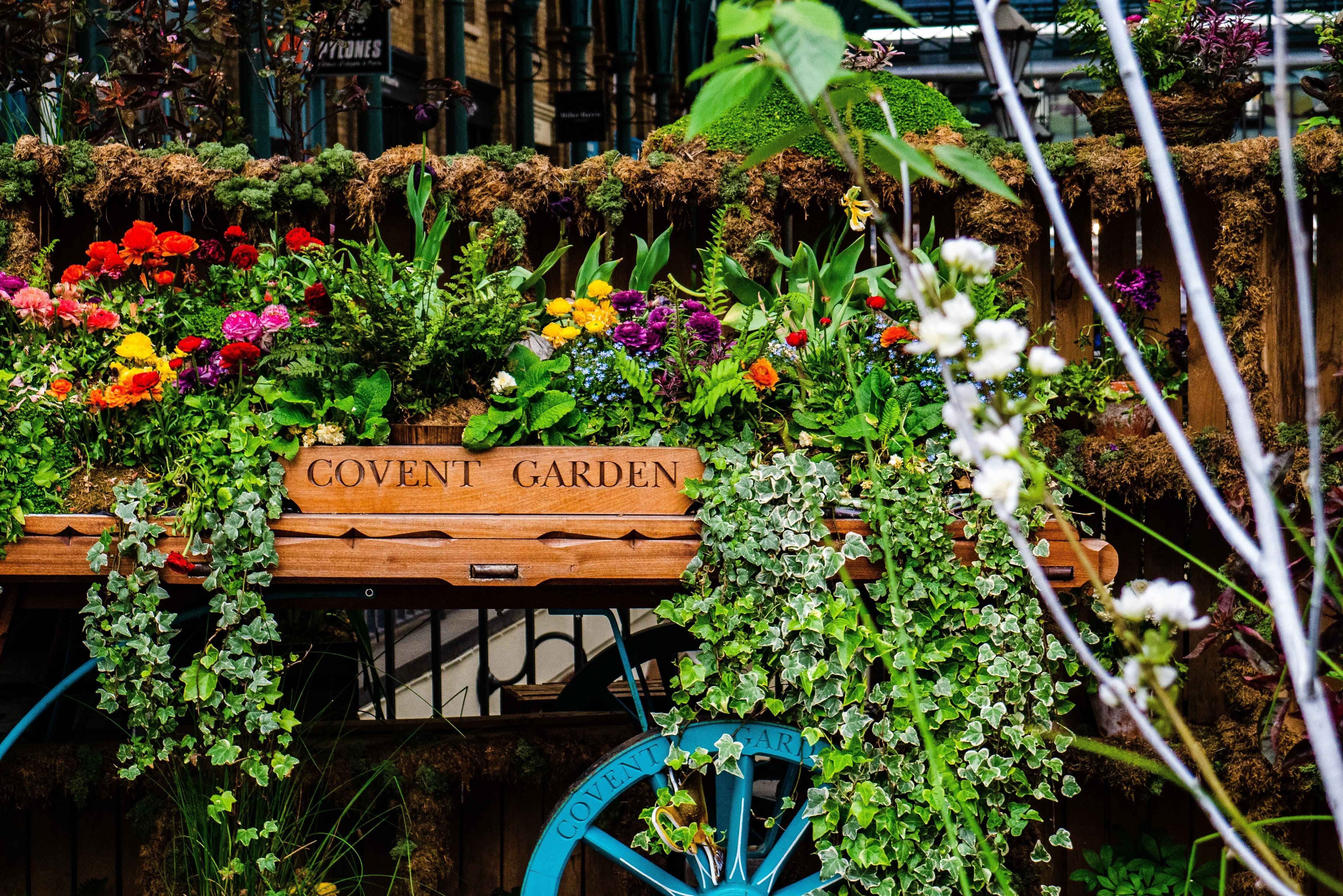 Garden 桌布 壁紙 — 在熙熙攘攘的市場環境中，一輛標有Covent Garden、帶有藍色輪子的木製手推車上，溢出鮮豔的花朵和茂密的綠色植物。