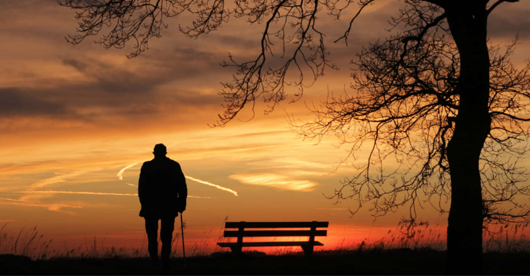 Alone 桌布 壁紙 — 在熾熱的日落時分，一位手持拐杖的長者剪影，正走向光禿樹下的長椅。