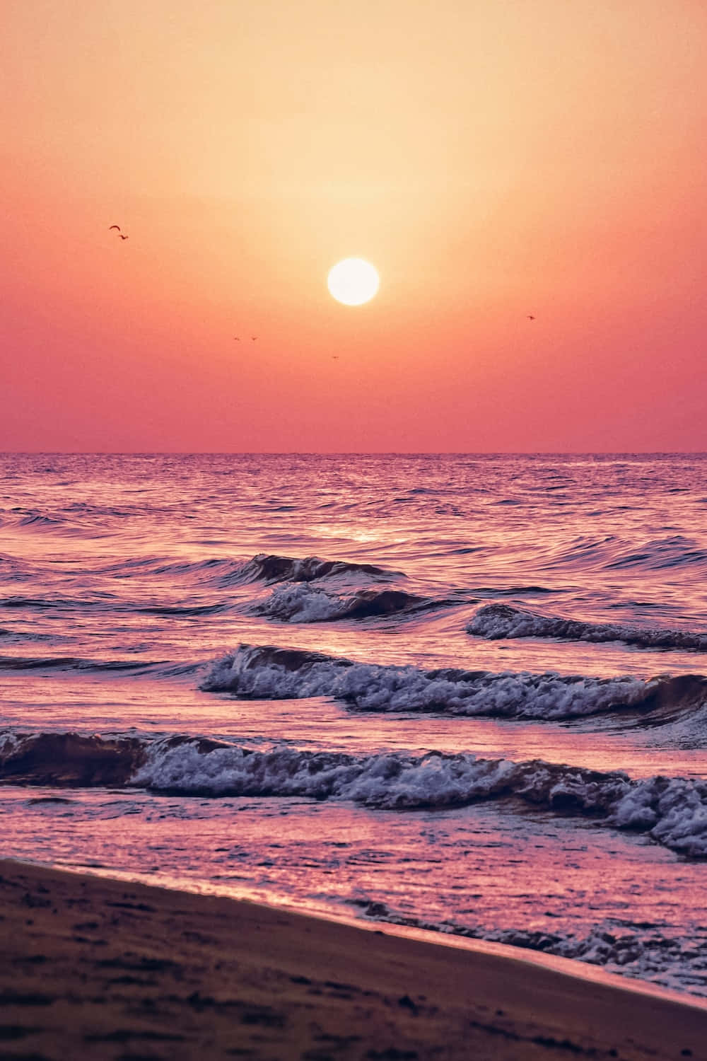 太陽 桌布 壁紙 — 在發光的橙色天空下，海浪拍打沙灘，海洋上寧靜的日落。