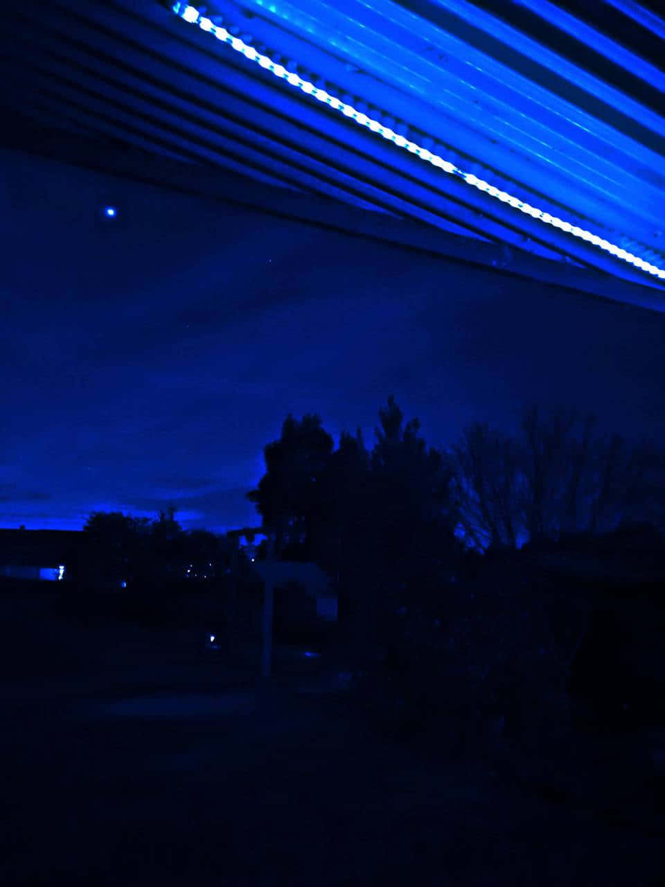 霓虹美學 桌布 壁紙 — 在發光藍色霓虹燈招牌下的黑暗夜景，帶有剪影樹木和遠處燈光。