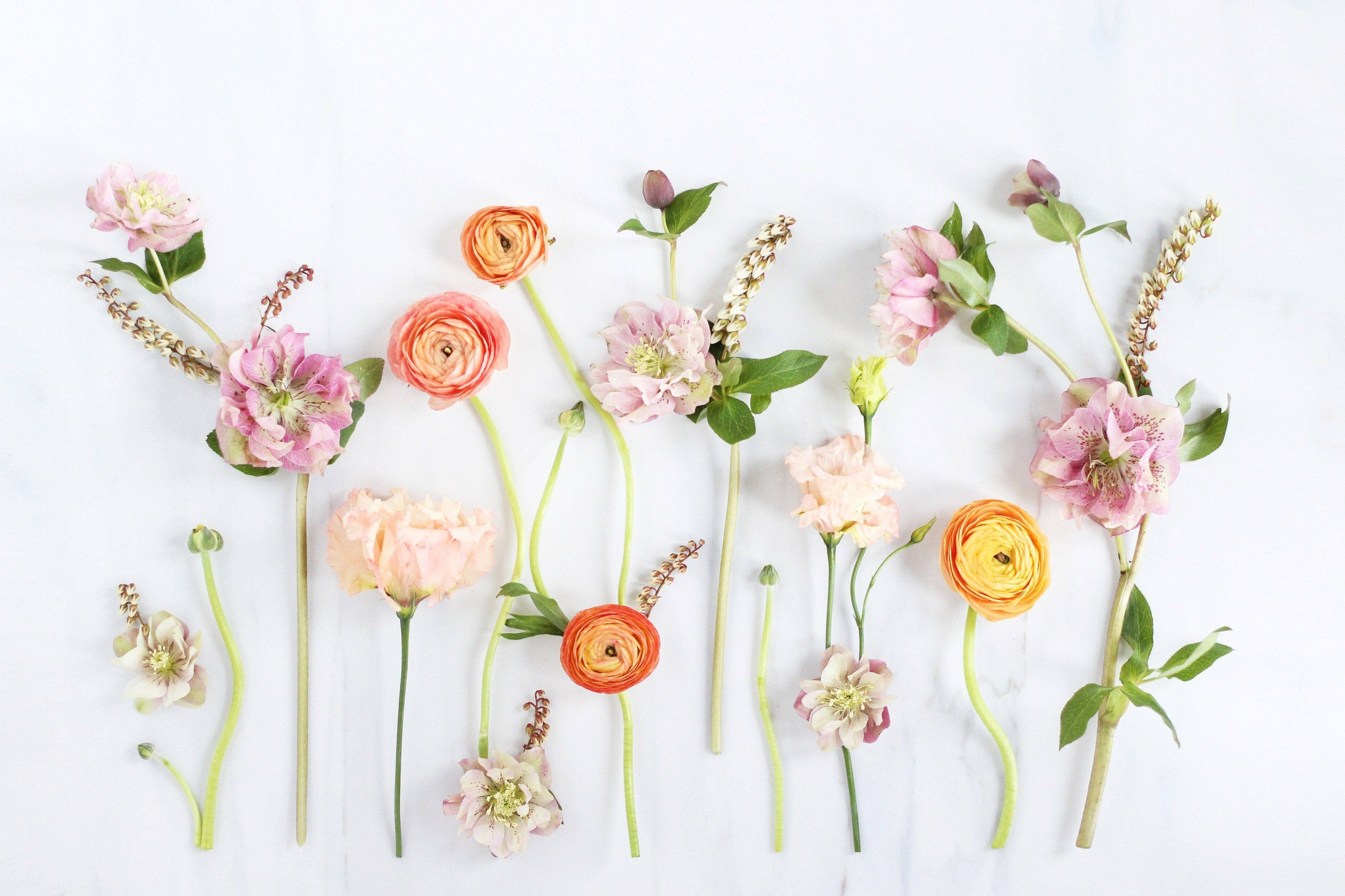 Cute Spring 桌布 壁紙 — 在白色大理石表面上，以平鋪方式排列的粉紅蜜桃和橙色毛茛花，帶有綠色莖幹。