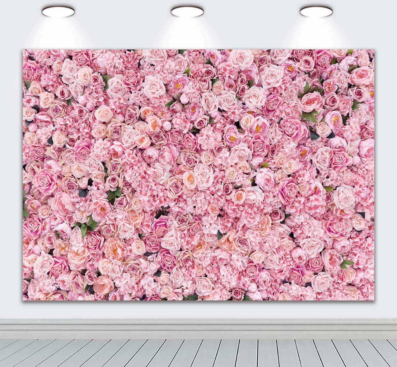Pink Wall 桌布 壁紙 — 在簡約房間中，由三盞聚光燈照亮的粉紅玫瑰和繡球花密集牆。