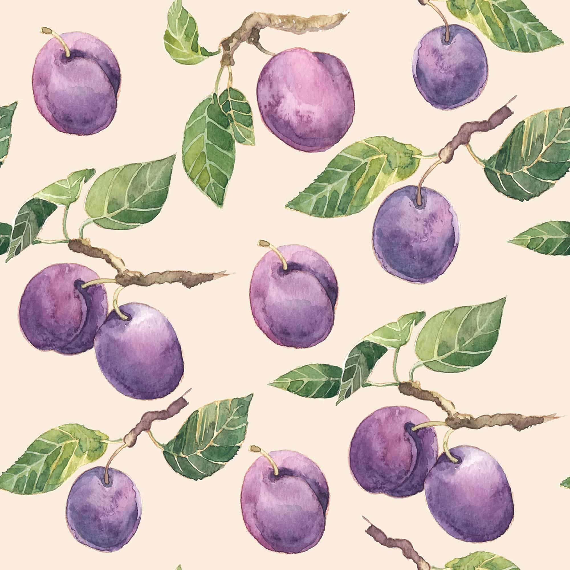Fruits 桌布 壁紙 — 在米色背景上以重複圖案繪製的李子和綠葉生動水彩插圖。