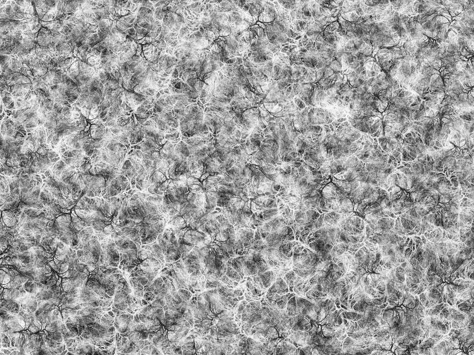 Black And White Texture 桌布 壁紙 — 在紋理灰色背景上，纏繞的白色絲狀物形成的單色抽象圖案。