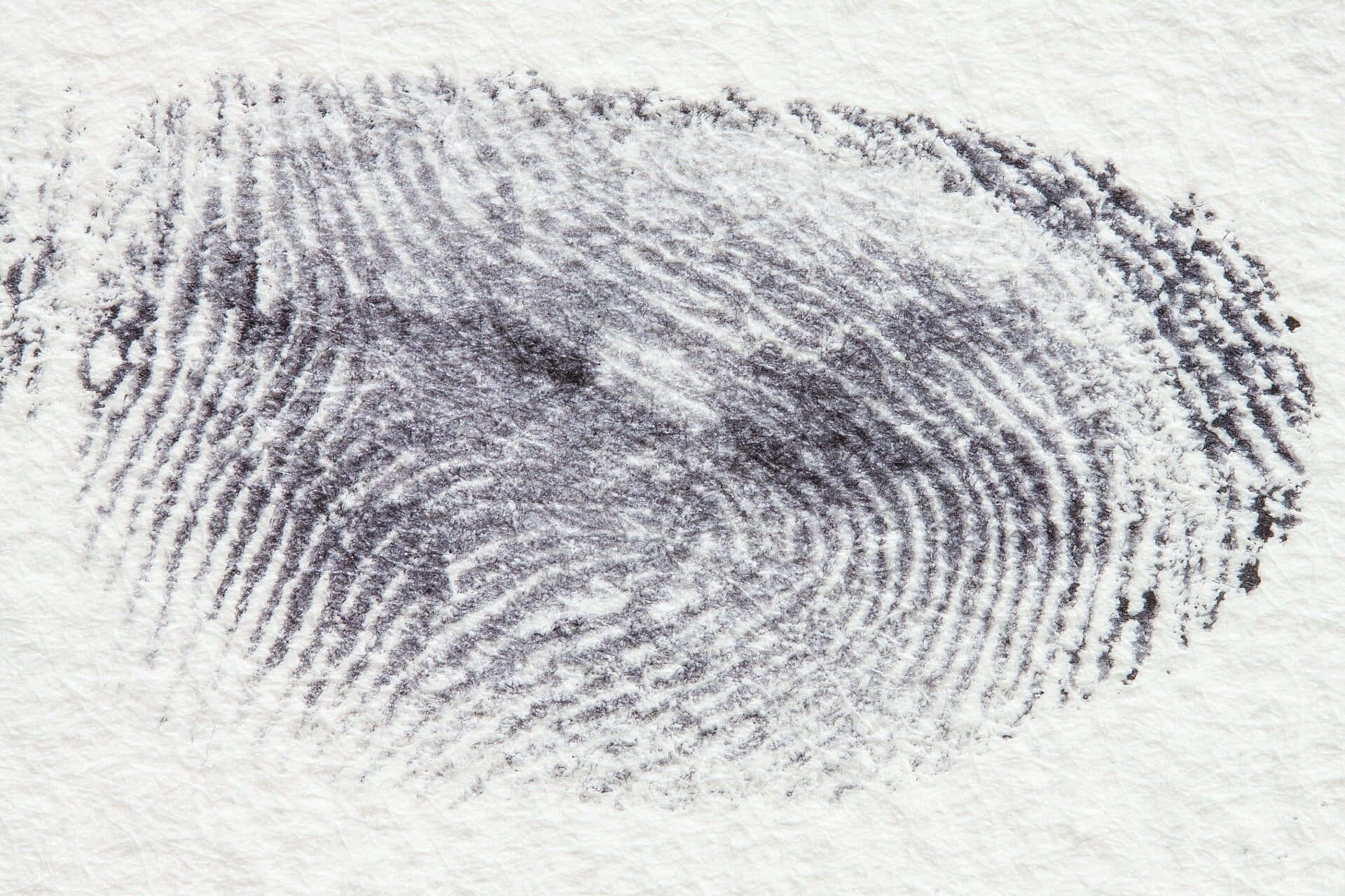 Fbi 桌布 壁紙 — 在紋理白色紙張上，帶有可見脊線和漩渦的詳細黑色木炭指紋污跡。