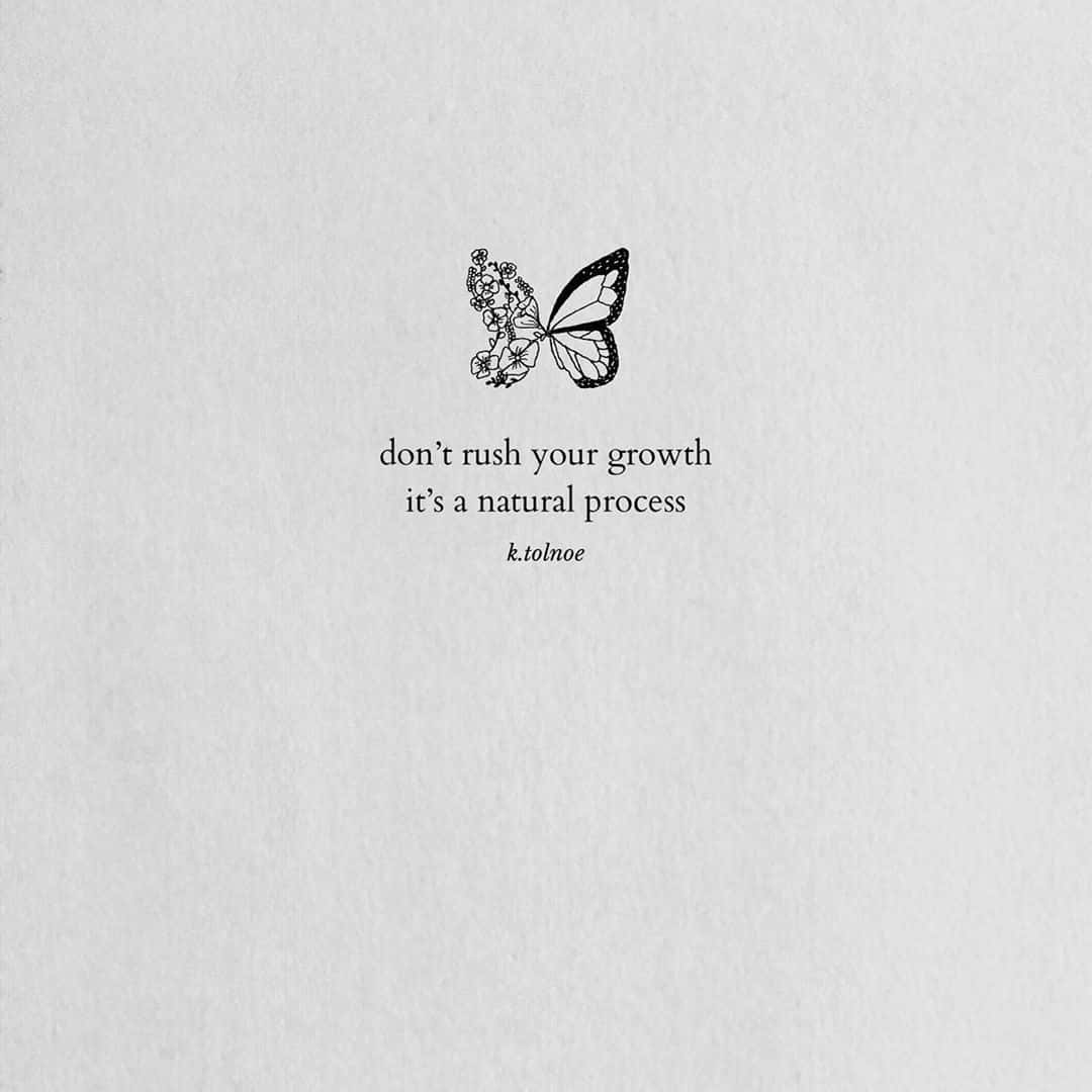 Butterfly Quotes 桌布 壁紙 — 在紋理紙上繪製的極簡黑白蝴蝶插圖，左翼帶有花卉圖案，下方附有文字。