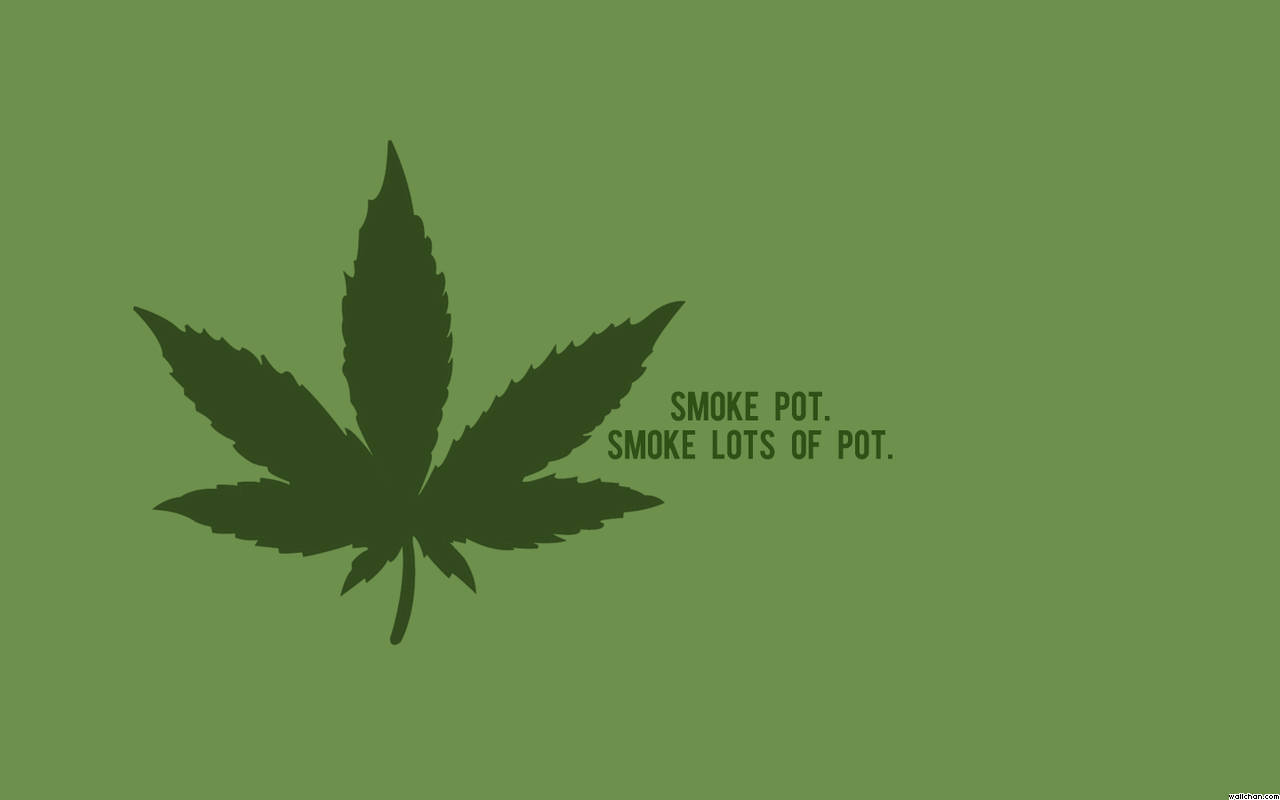 酷炫大麻 桌布 壁紙 — 在純橄欖綠色背景上，一個大膽的深綠色大麻葉剪影，帶有文字 smoke pot smoke lots of pot。