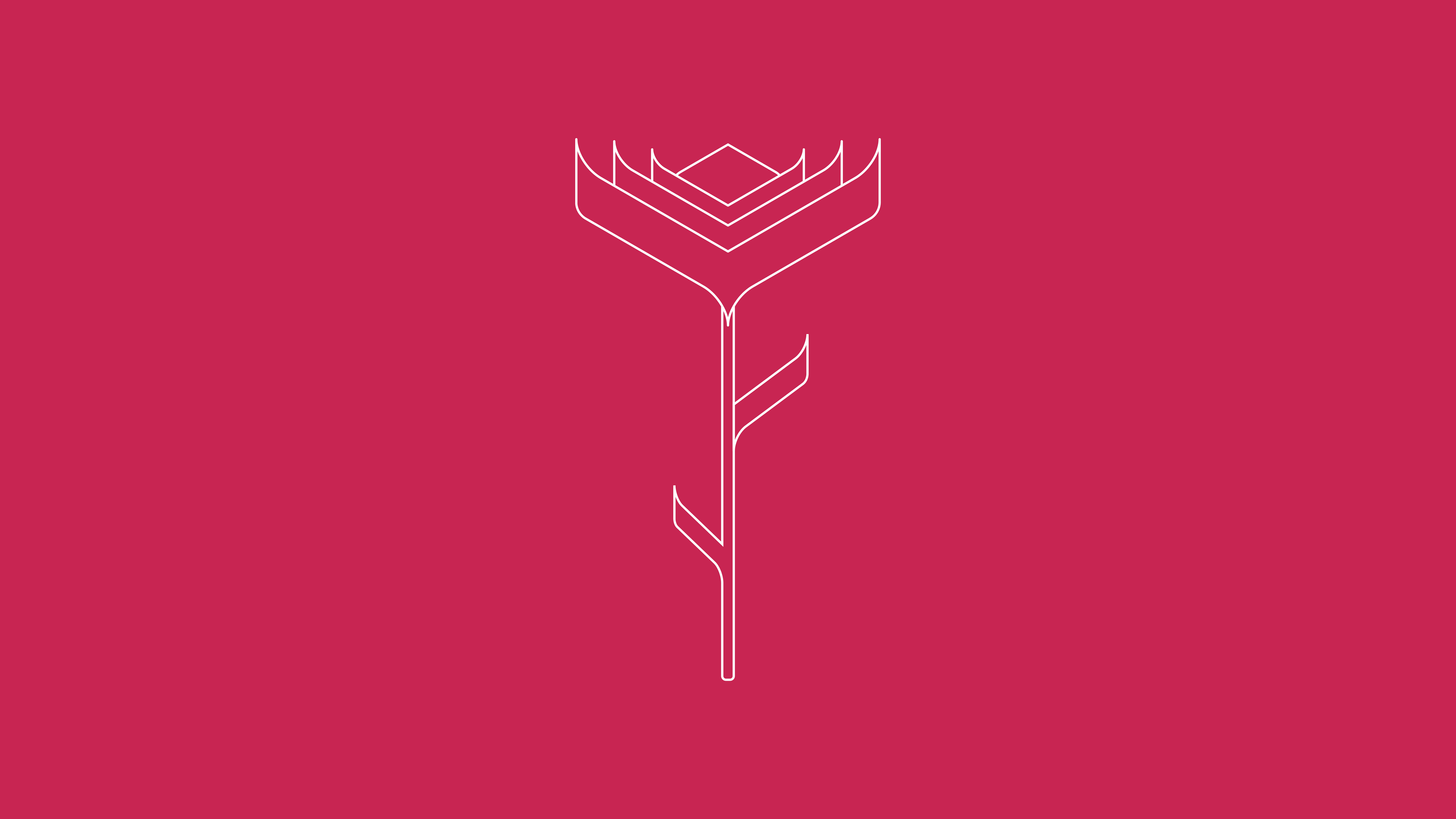 Minimalist Pink 桌布 壁紙 — 在純洋紅色背景上，一朵風格化玫瑰的極簡白色線條畫。