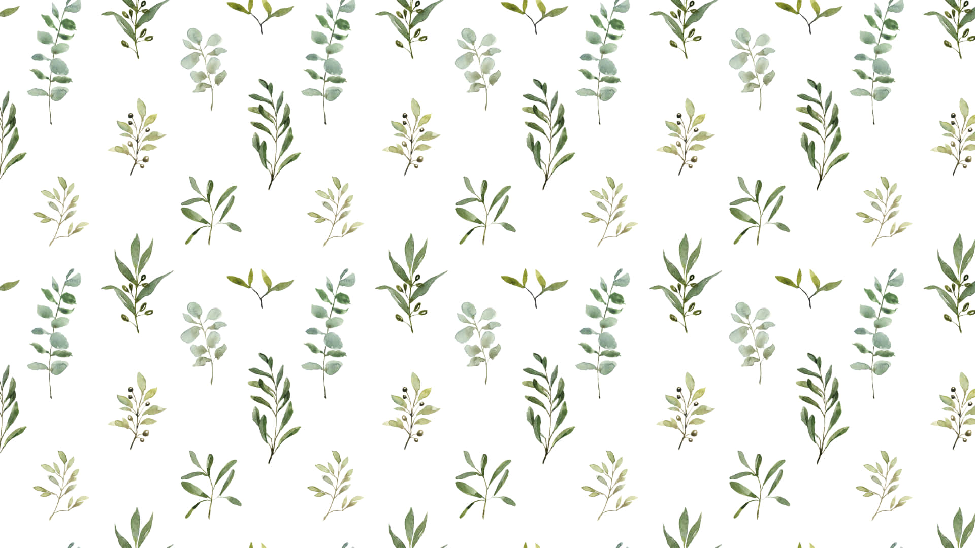 Sage Green Laptop 桌布 壁紙 — 在純白背景上，散落著綠色尤加利樹枝和葉子的精緻水彩圖案。
