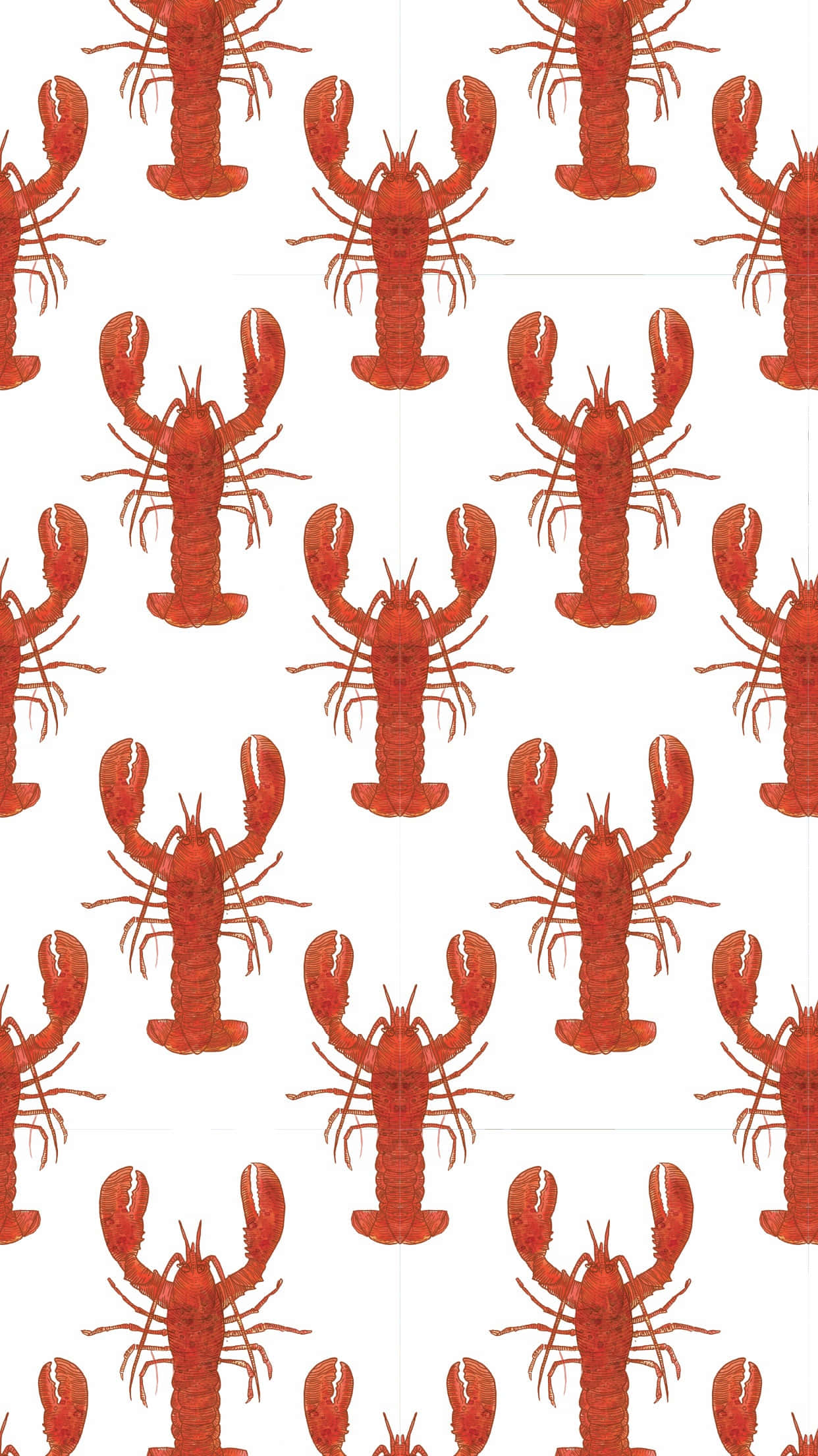 Lobster 桌布 壁紙 — 在純白背景上重複排列鮮紅色龍蝦圖案，營造出大膽而俏皮的壁紙設計。